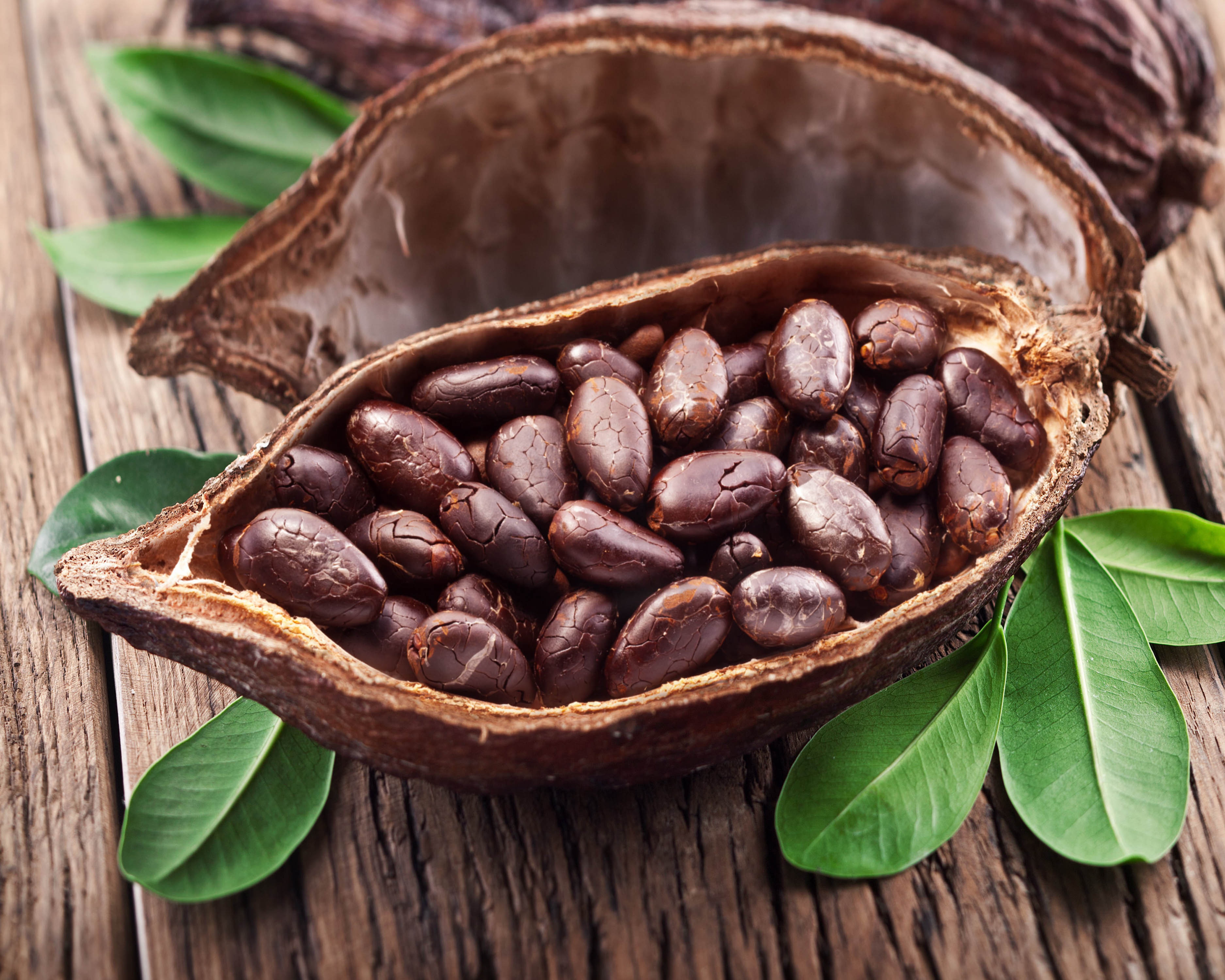 Cocoa Bean Wallpapers