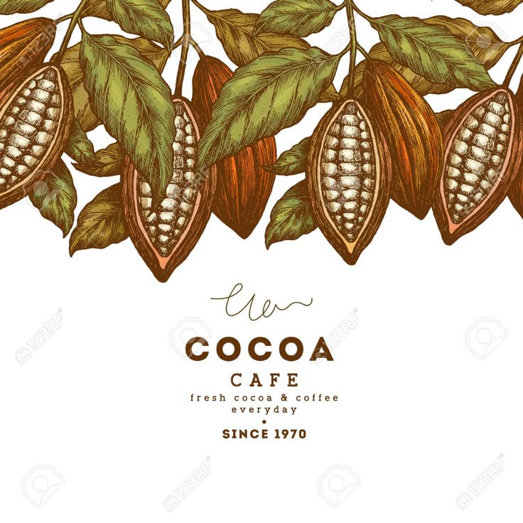 Cocoa Bean Wallpapers