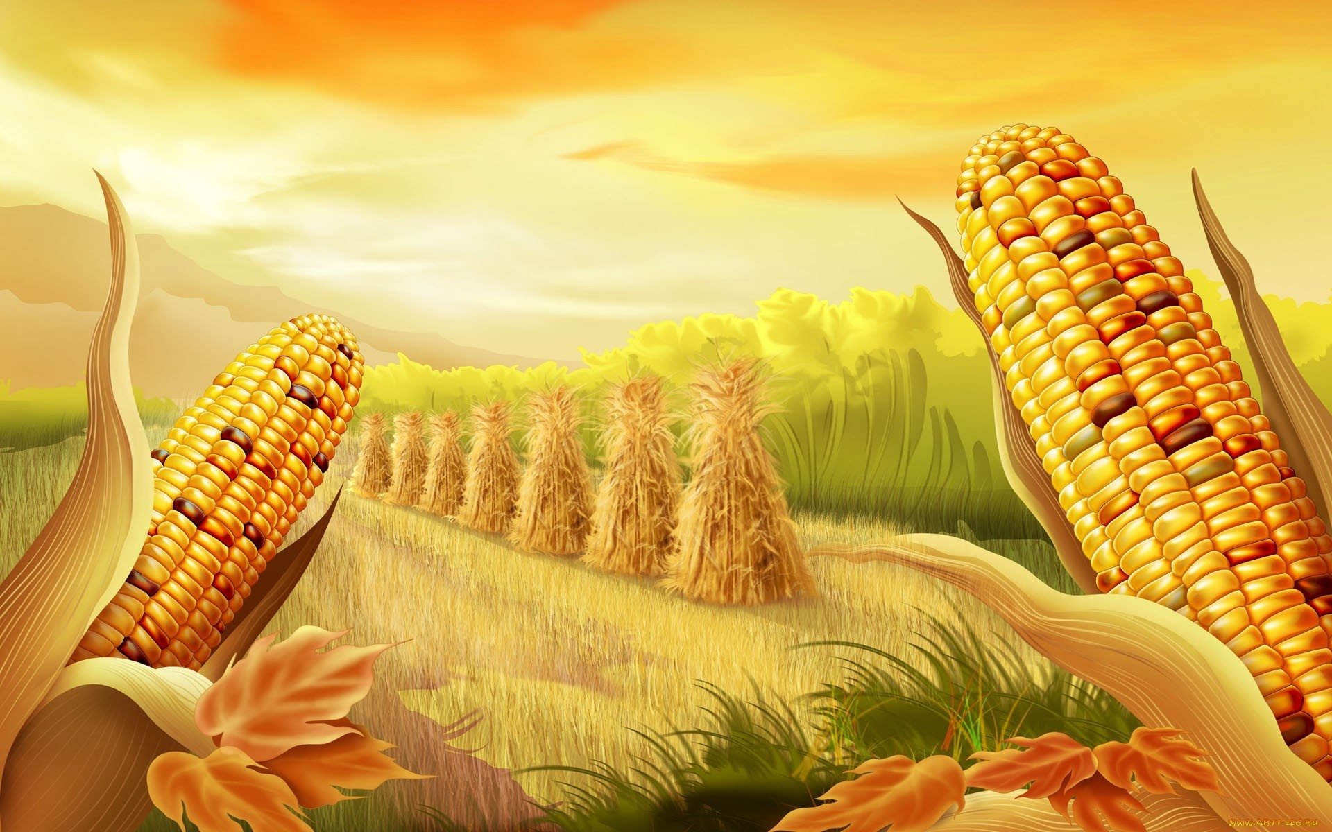 Corn Wallpapers