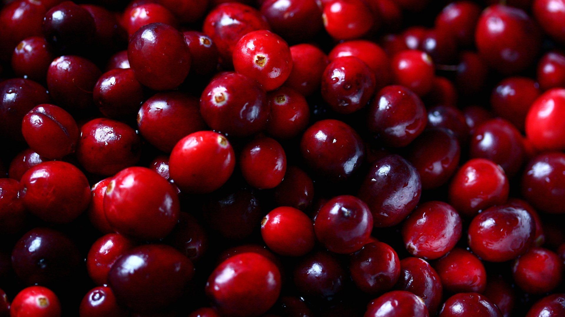 Cranberry Wallpapers