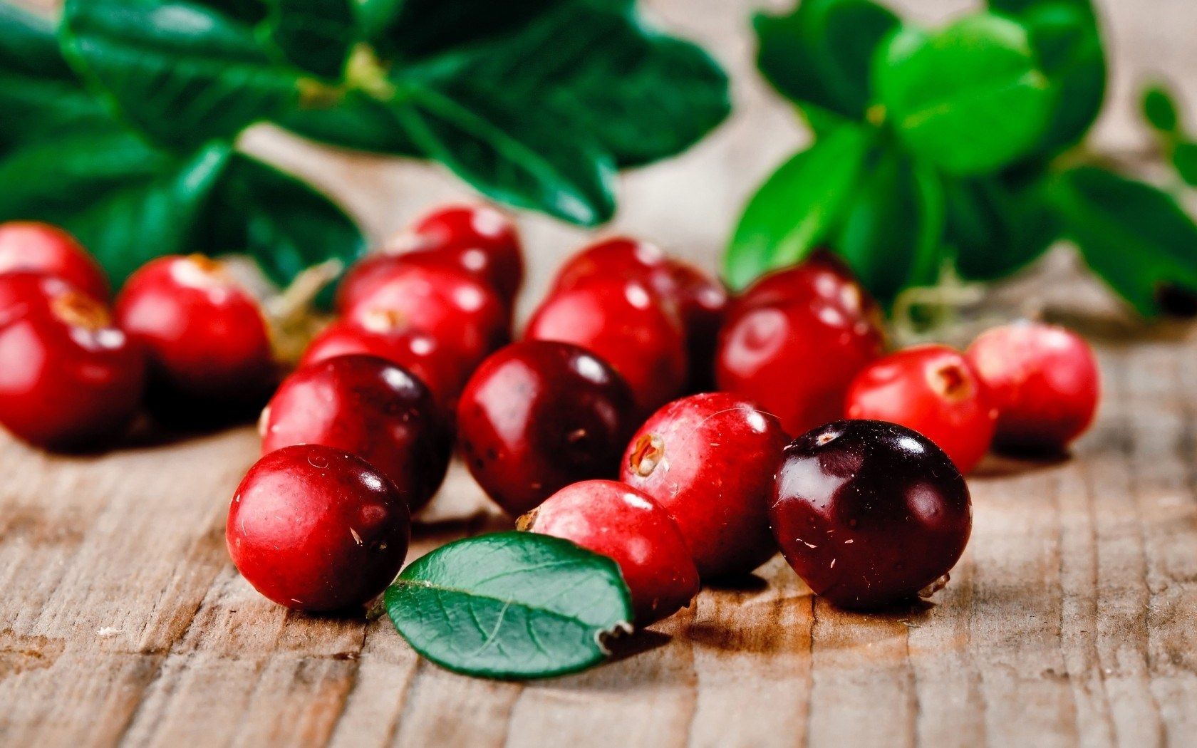 Cranberry Wallpapers