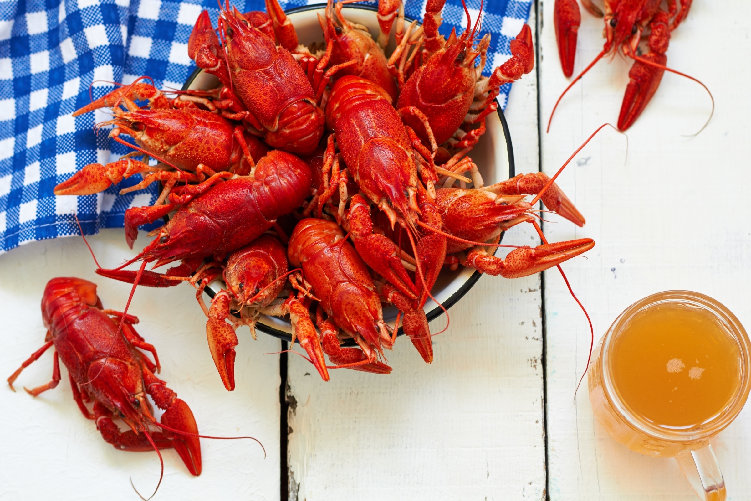 Crawfish Wallpapers