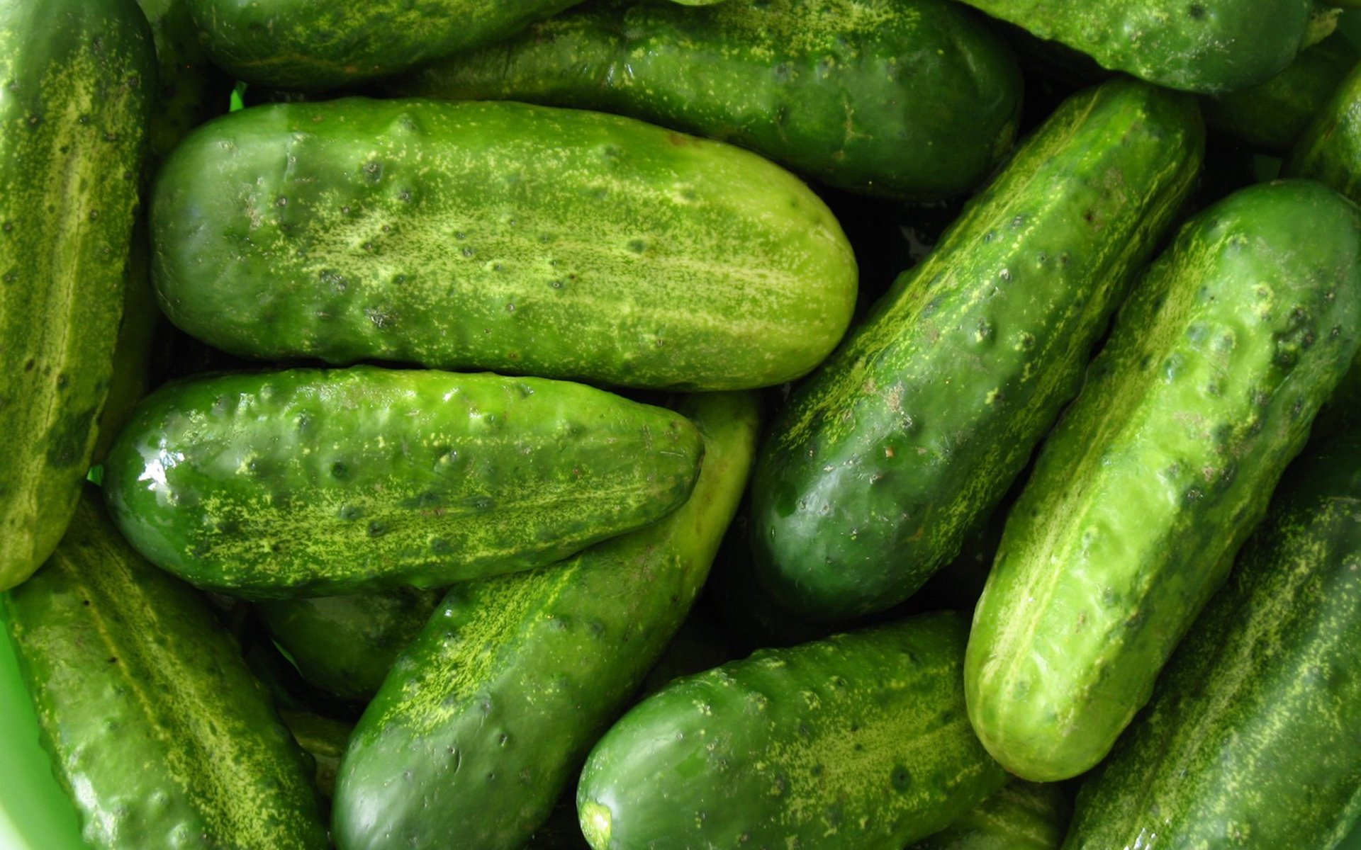 Cucumber Wallpapers