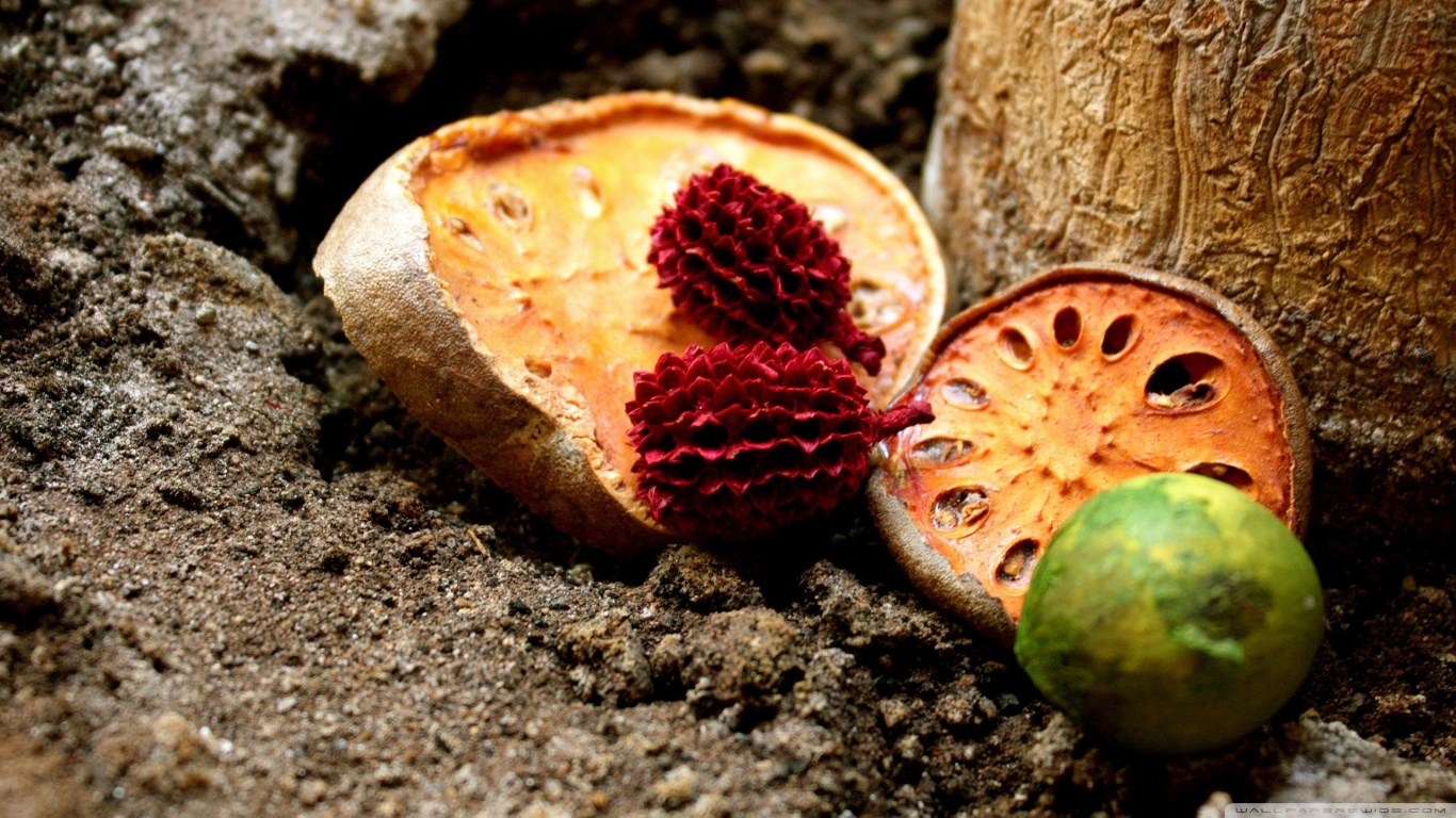 Dried Fruit Wallpapers