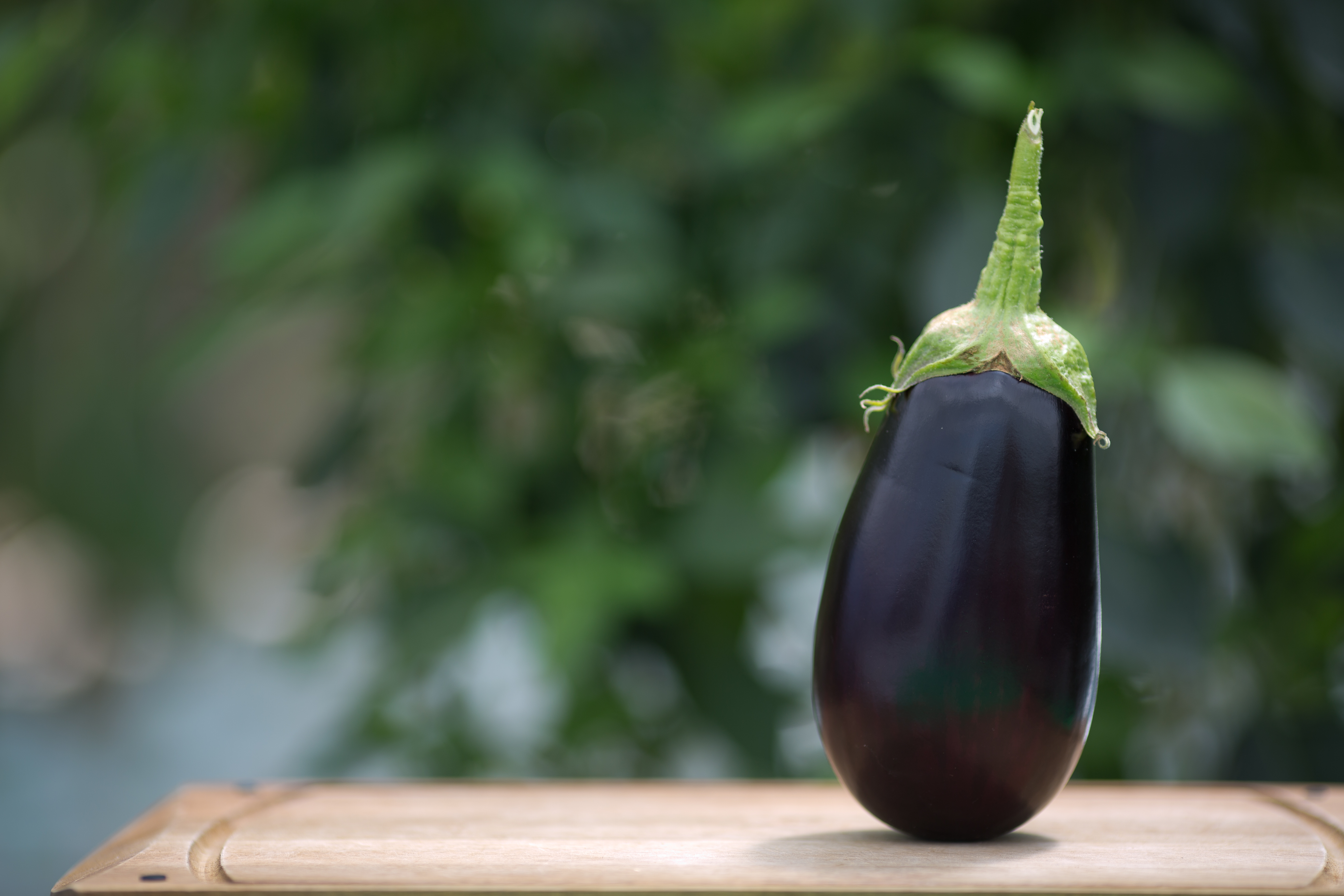 Eggplant Wallpapers