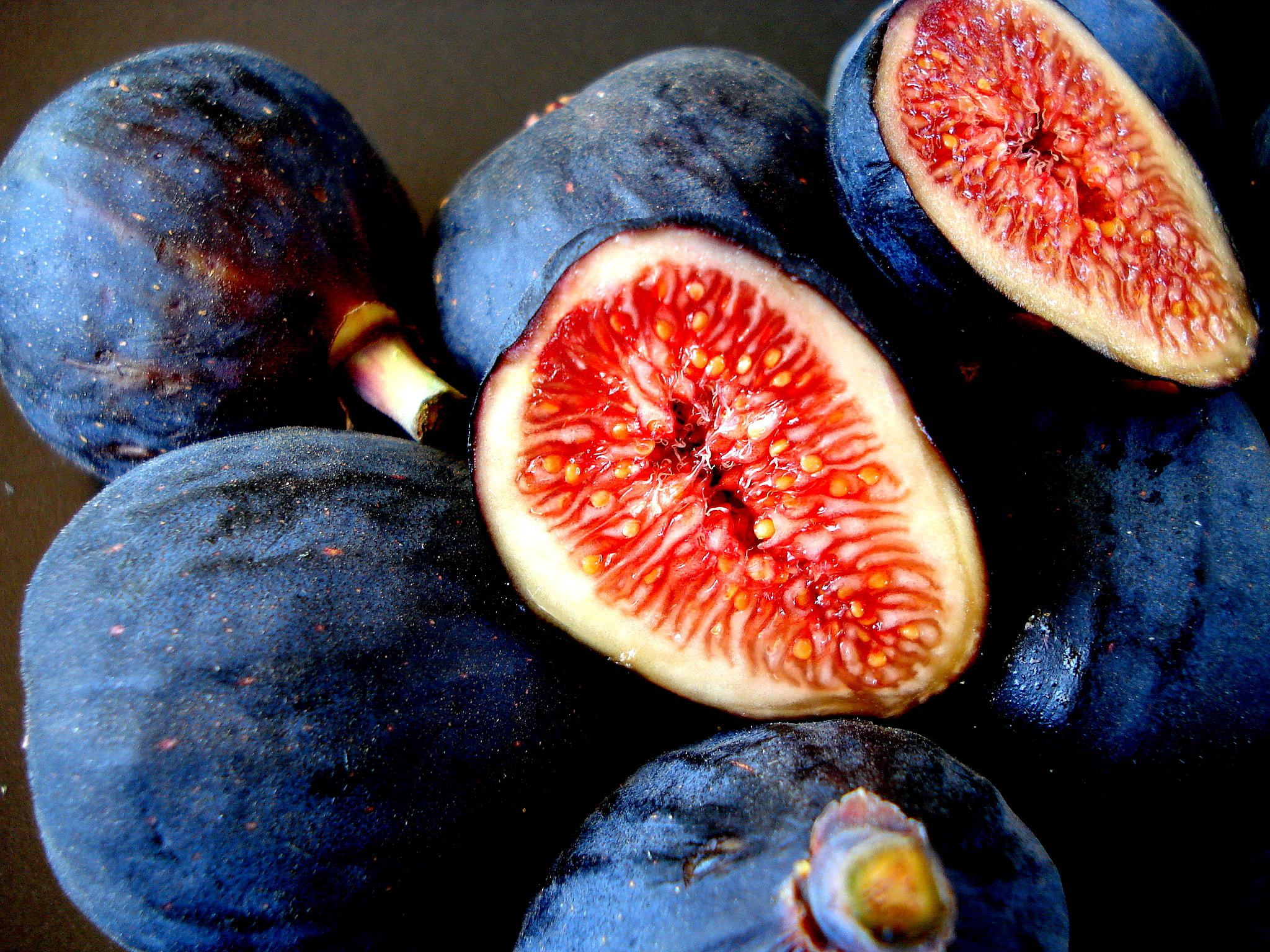 Fig Wallpapers