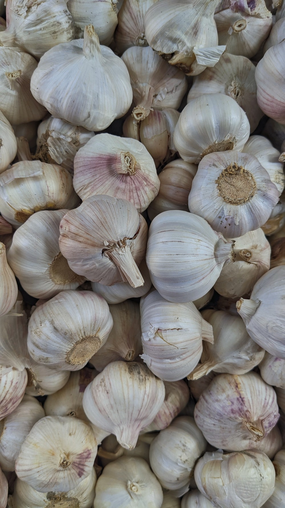 Garlic Wallpapers