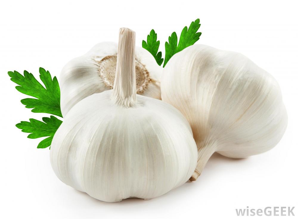 Garlic Wallpapers