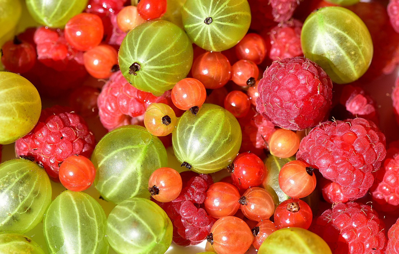 Gooseberry Wallpapers