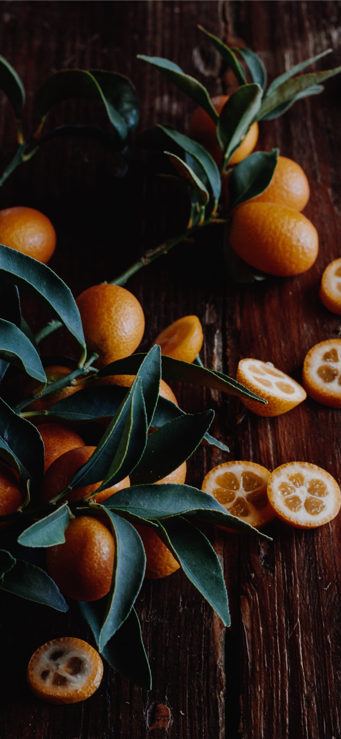 Kumquat Wallpapers