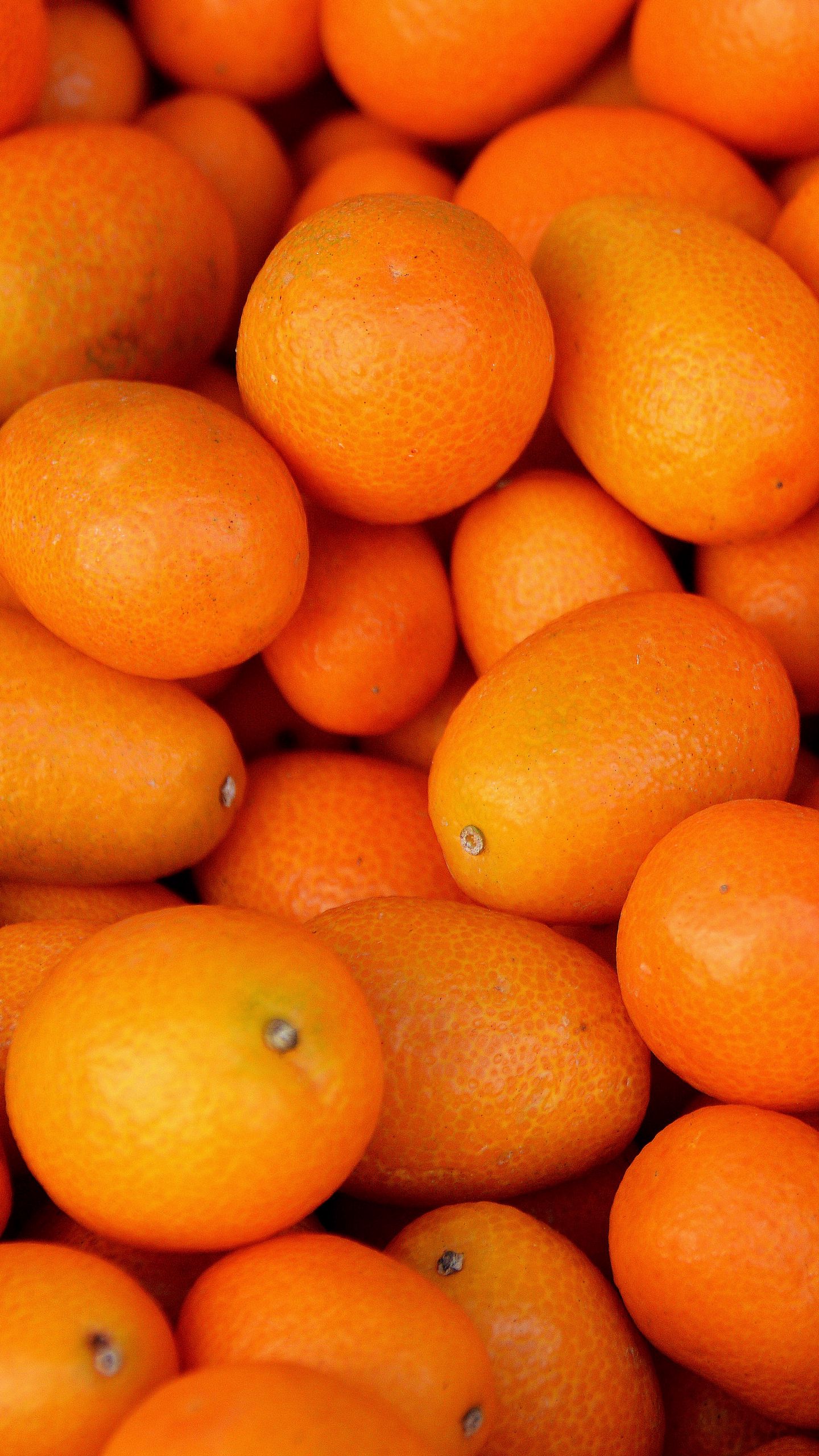 Kumquat Wallpapers