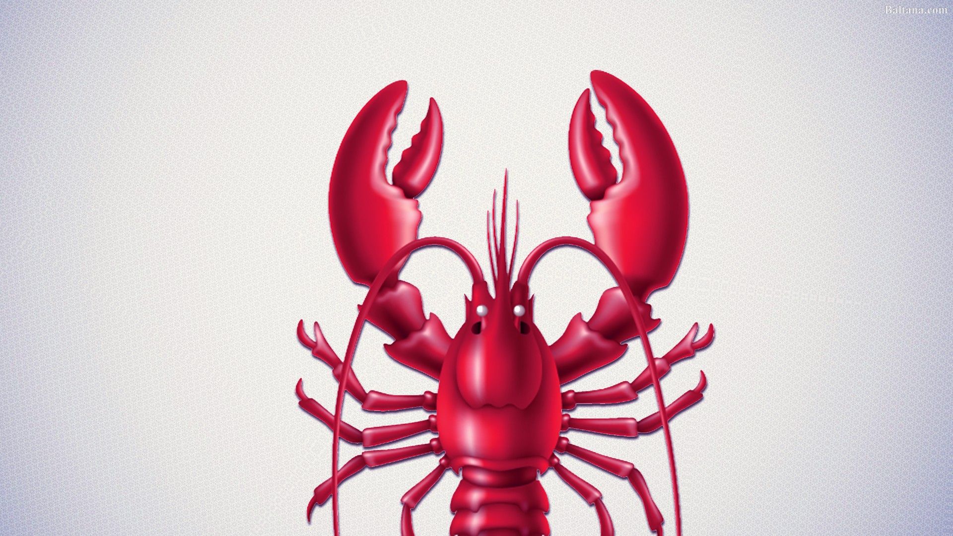 Lobster Wallpapers