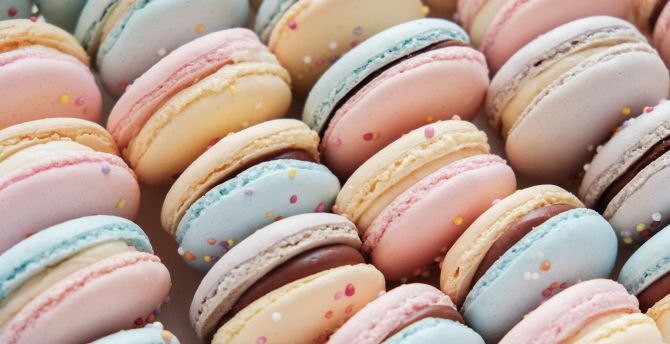 Macaron Wallpapers