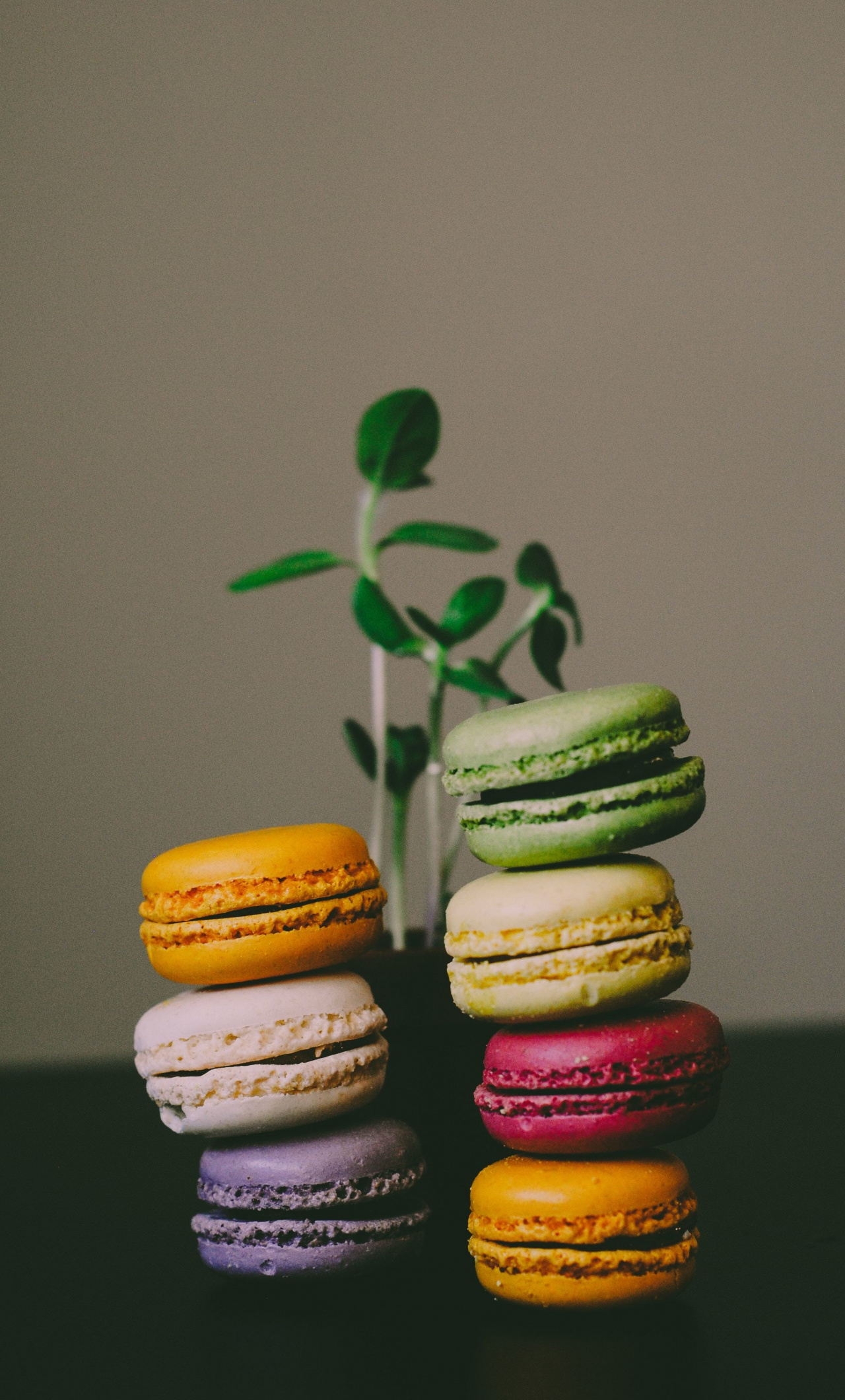 Macaron Wallpapers