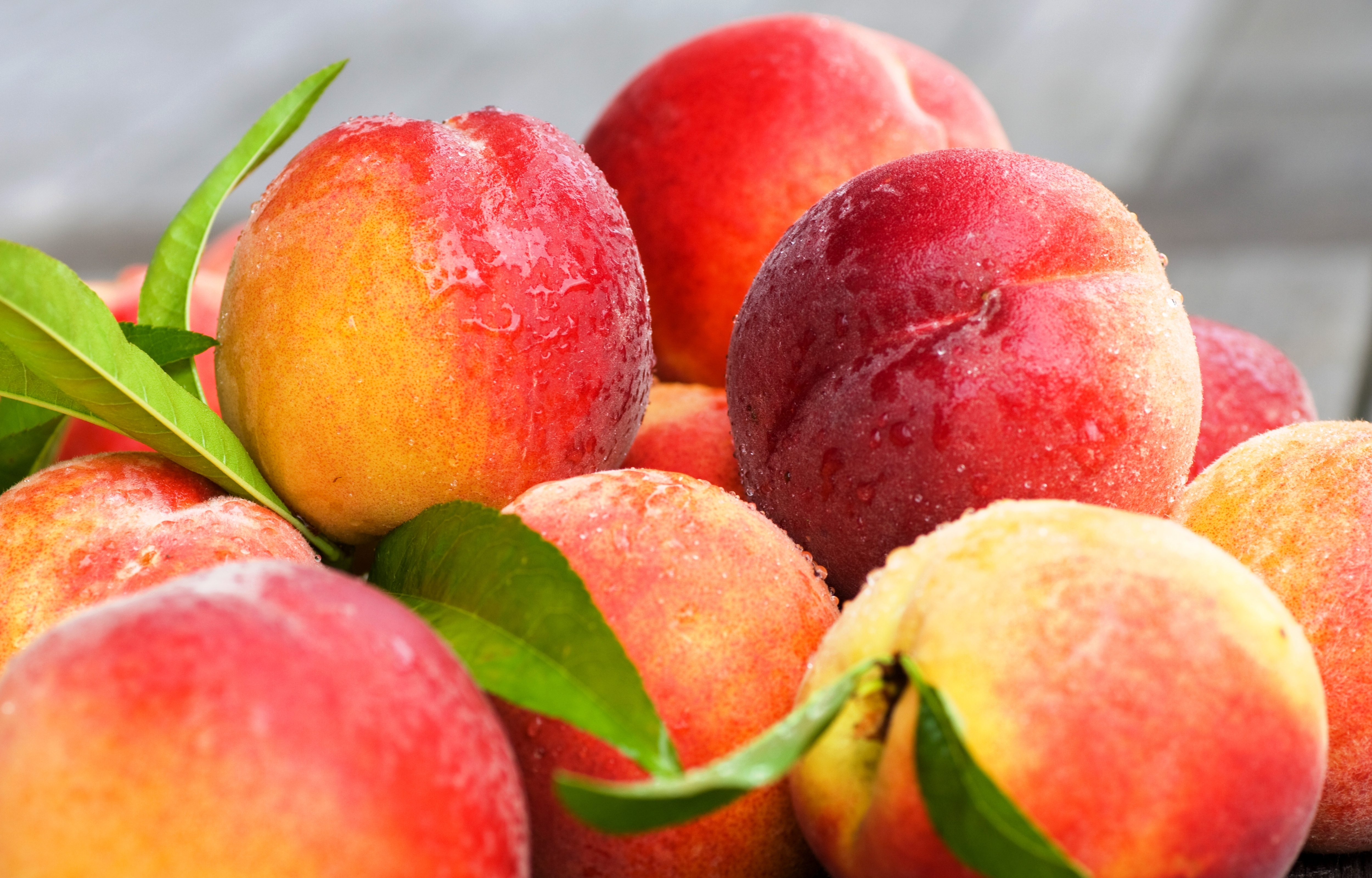 Nectarine Wallpapers