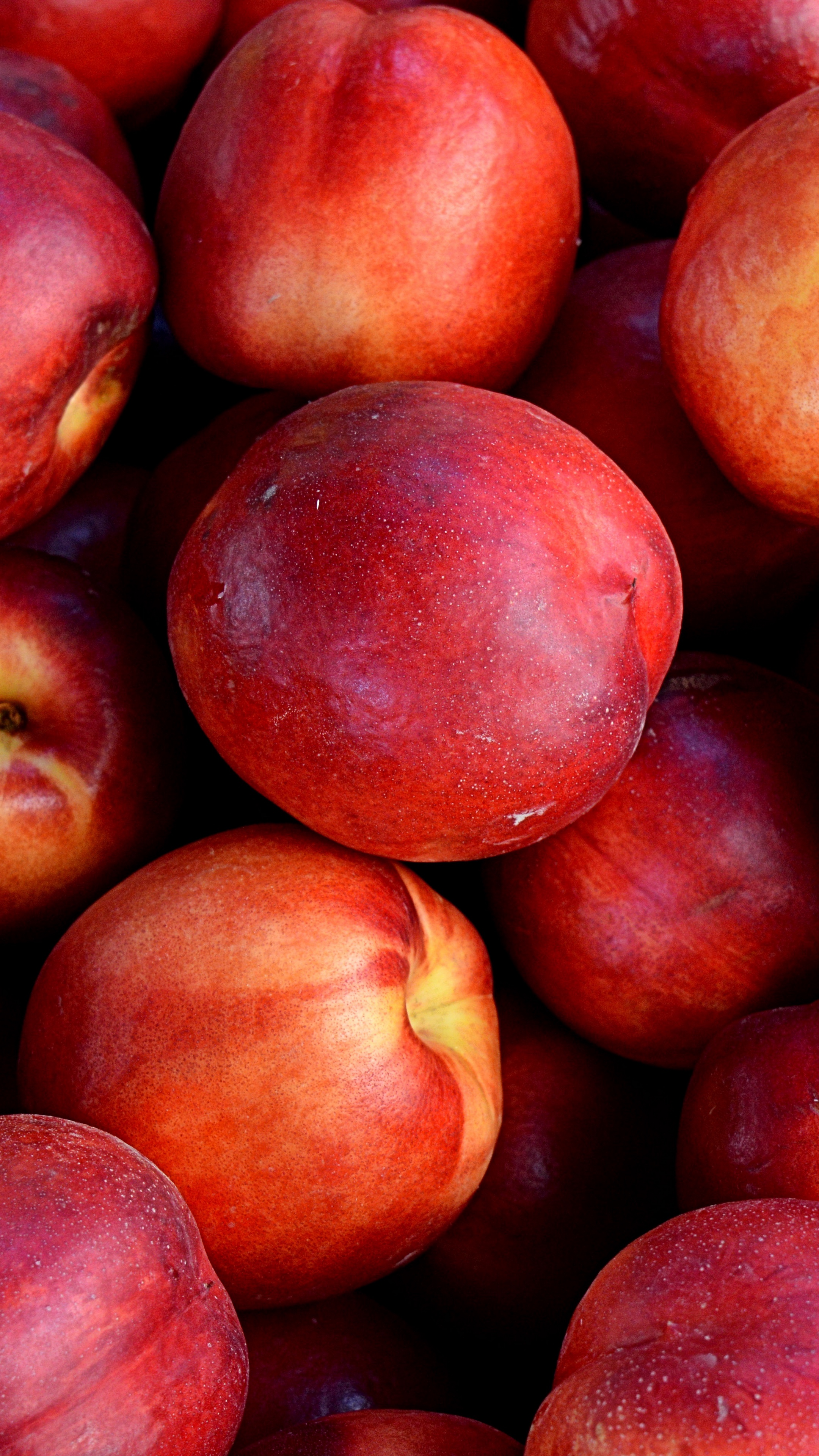 Nectarine Wallpapers