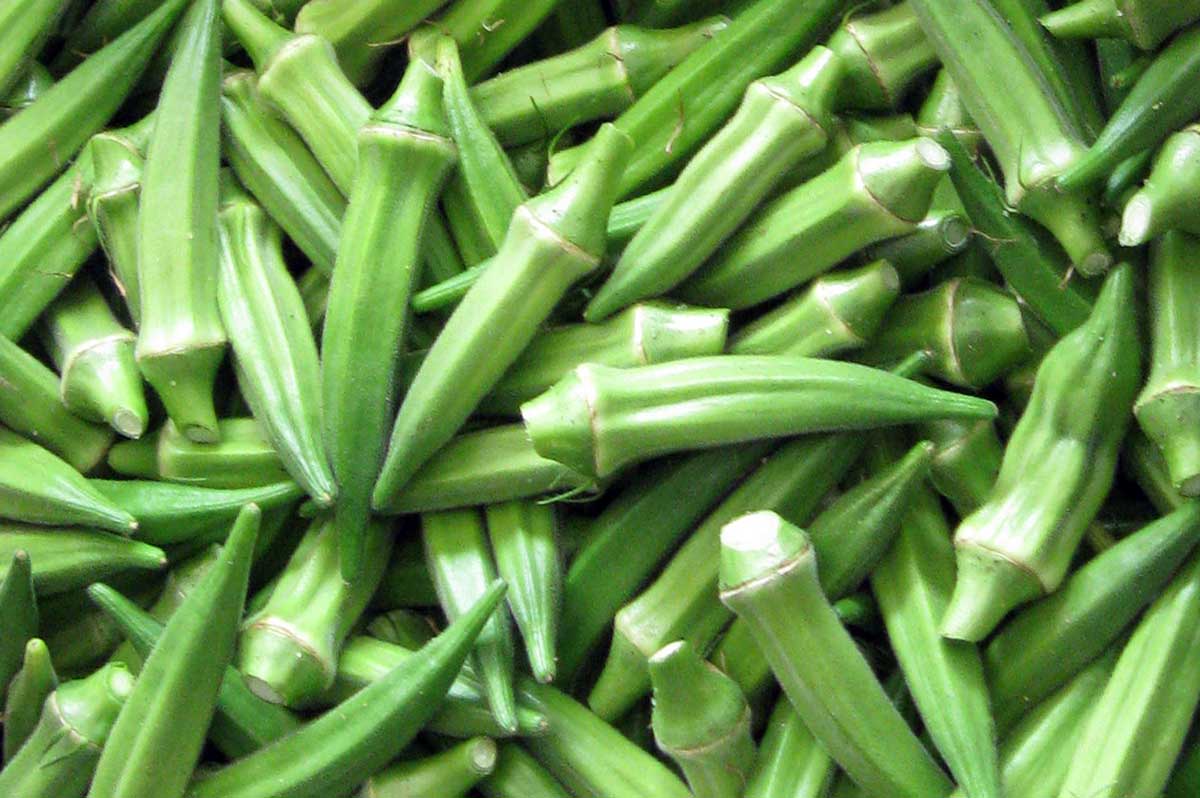 Okra Wallpapers