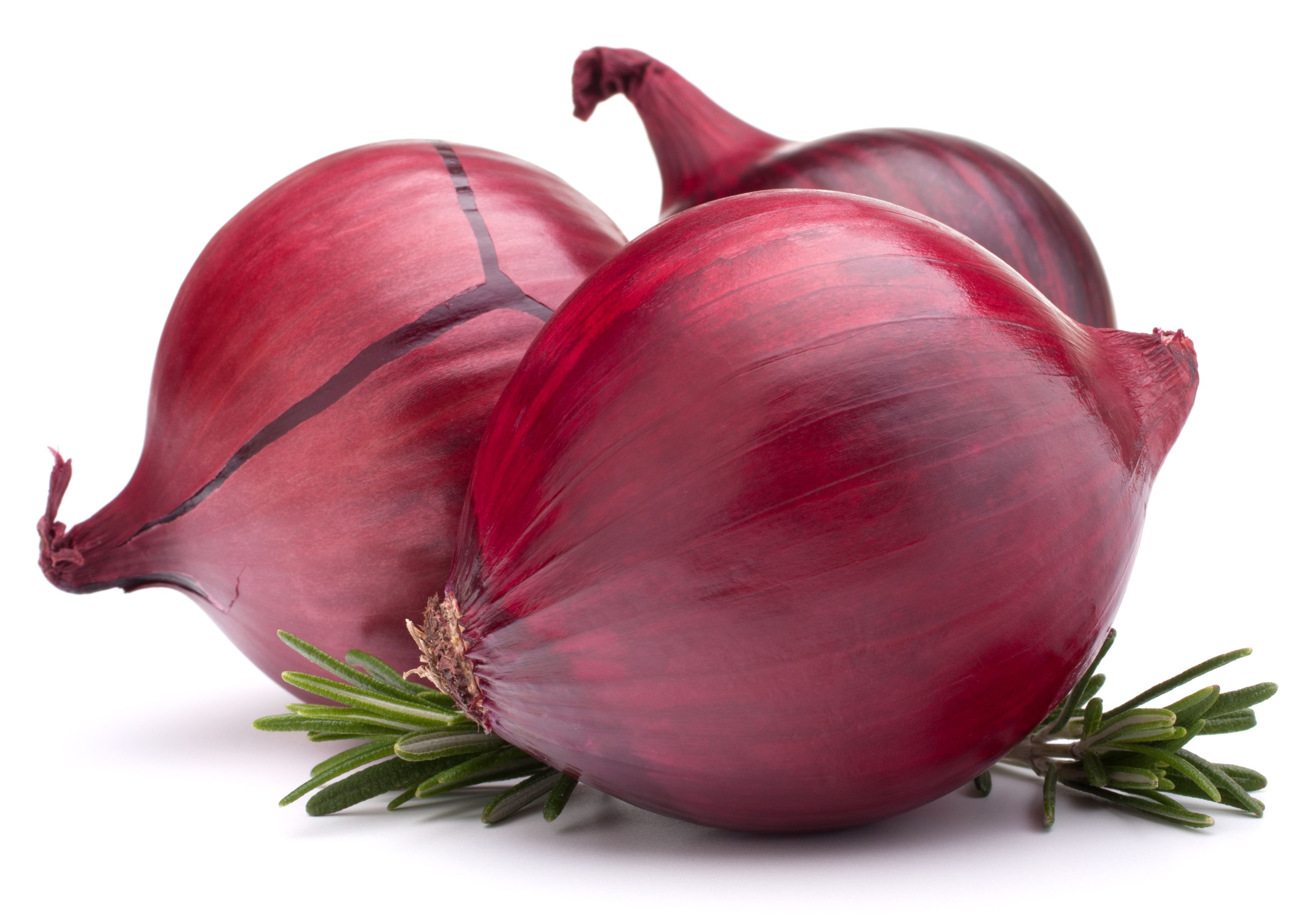 Onion Wallpapers