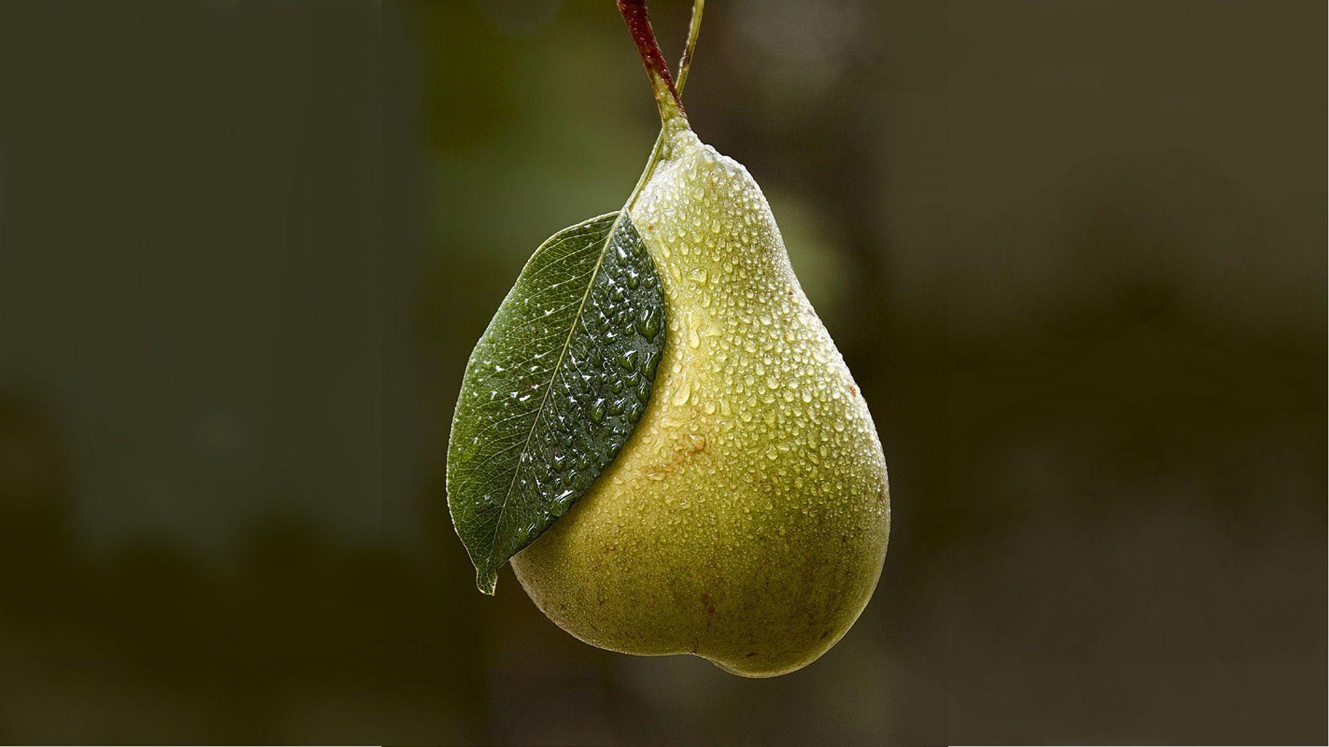 Pear Wallpapers