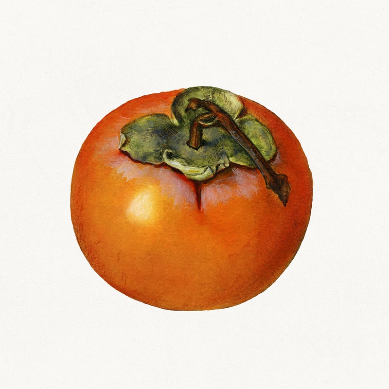 Persimmon Wallpapers