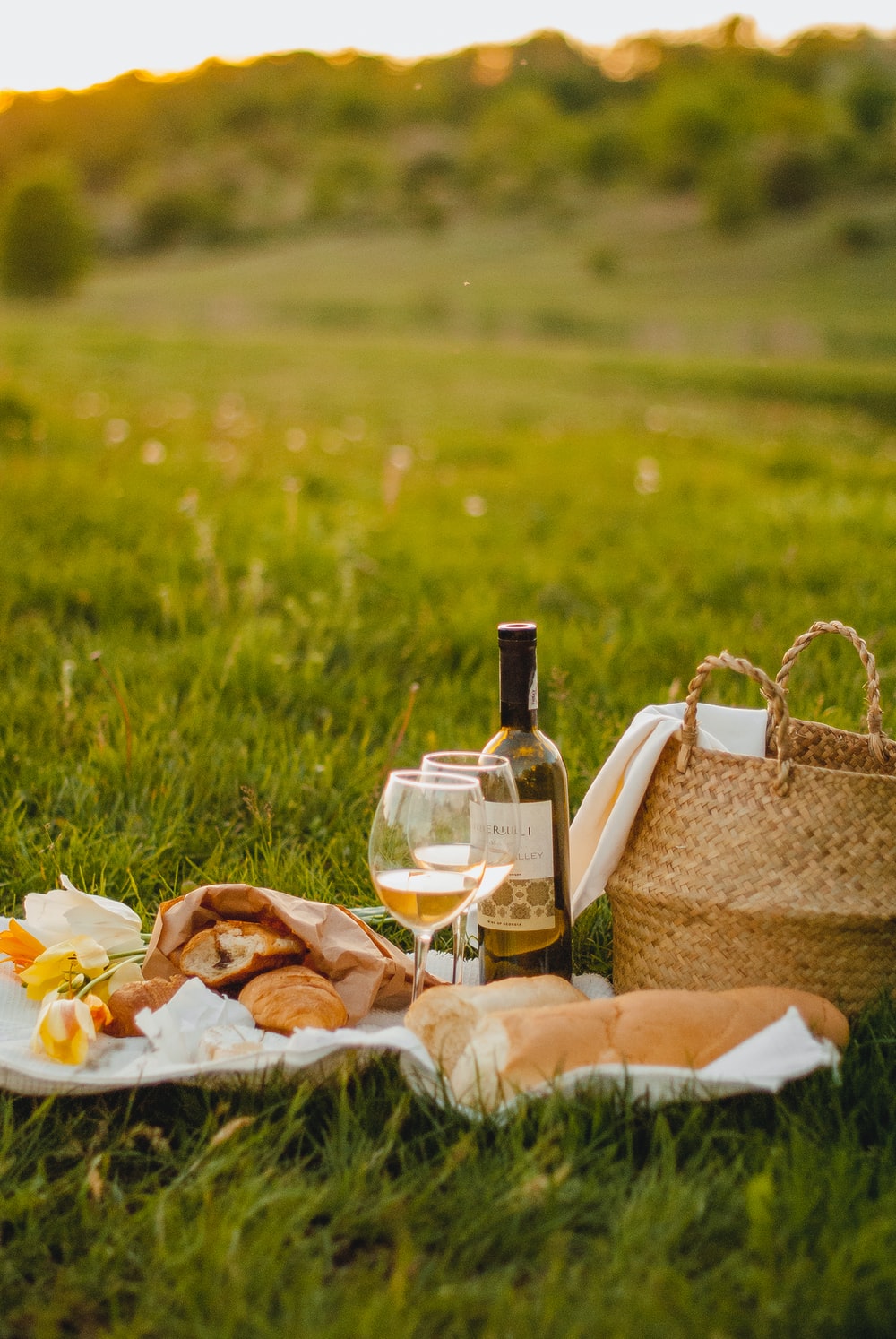 Picnic Wallpapers