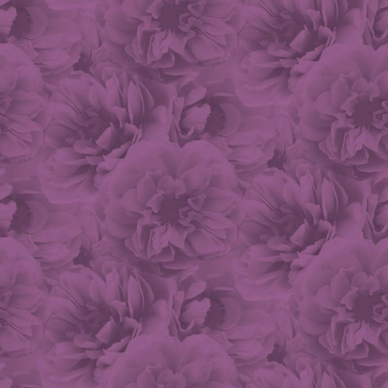 Plum Wallpapers