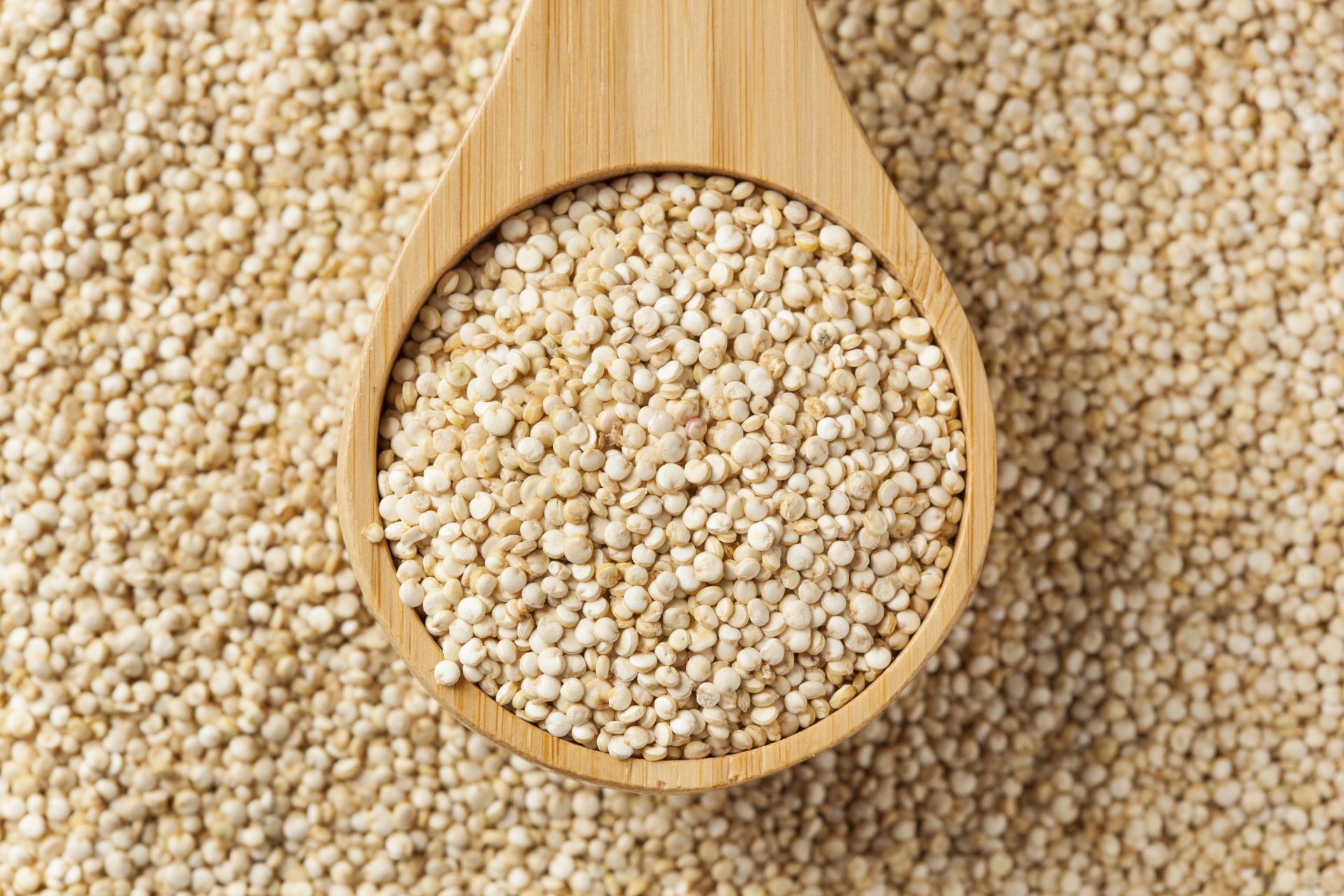 Quinoa Wallpapers