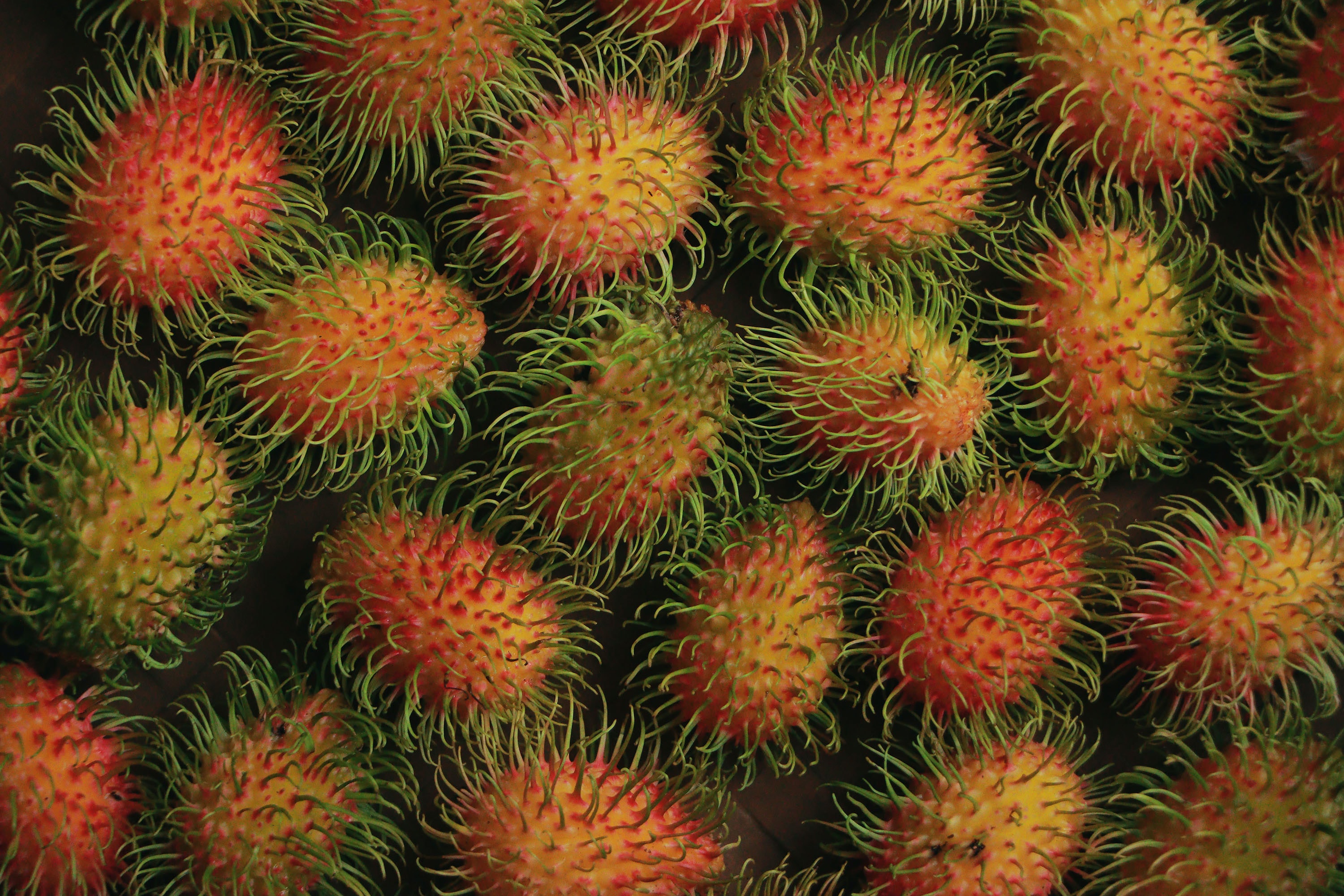 Rambutan Wallpapers