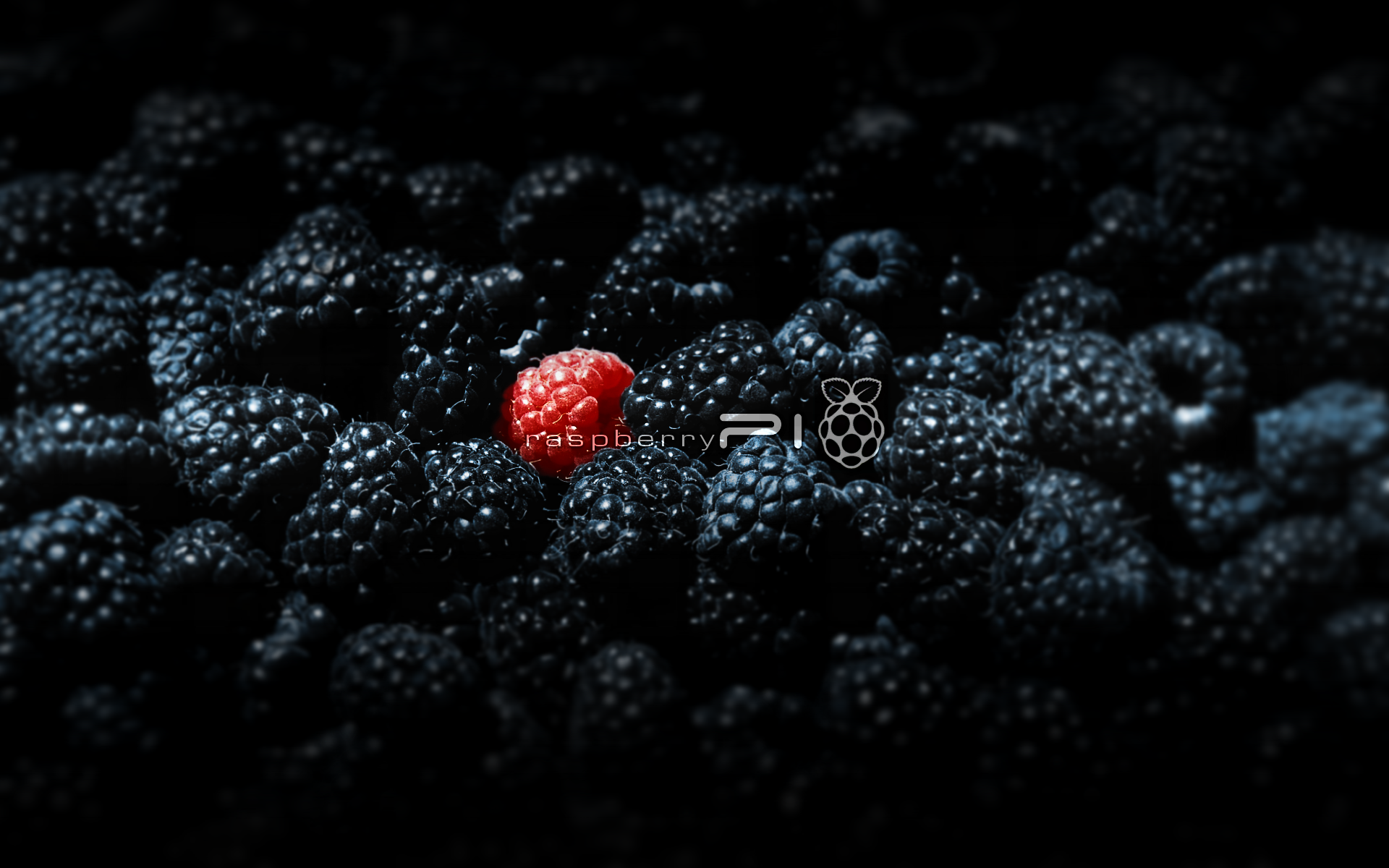 Raspberry Wallpapers