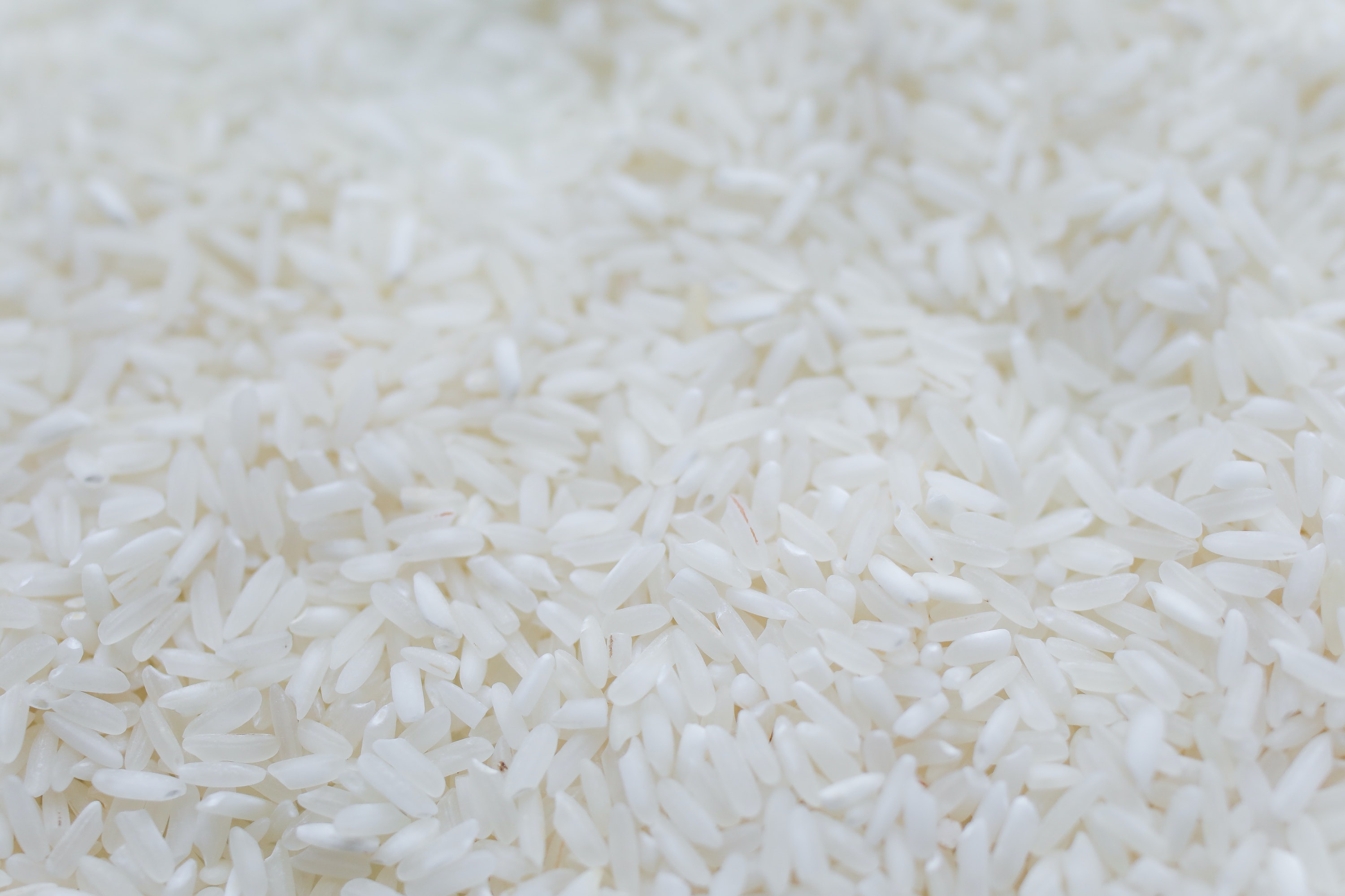 Rice Wallpapers