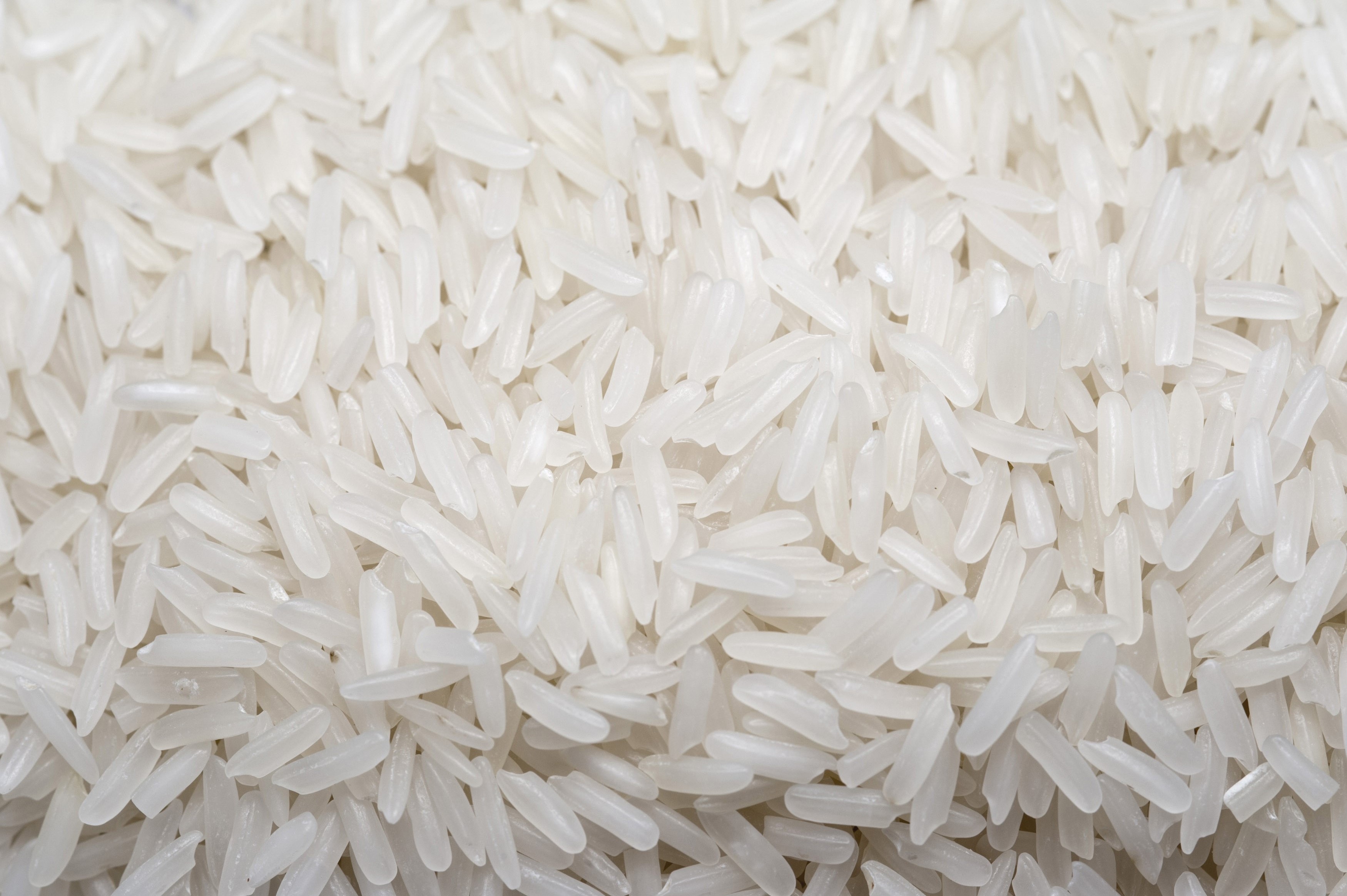 Rice Wallpapers