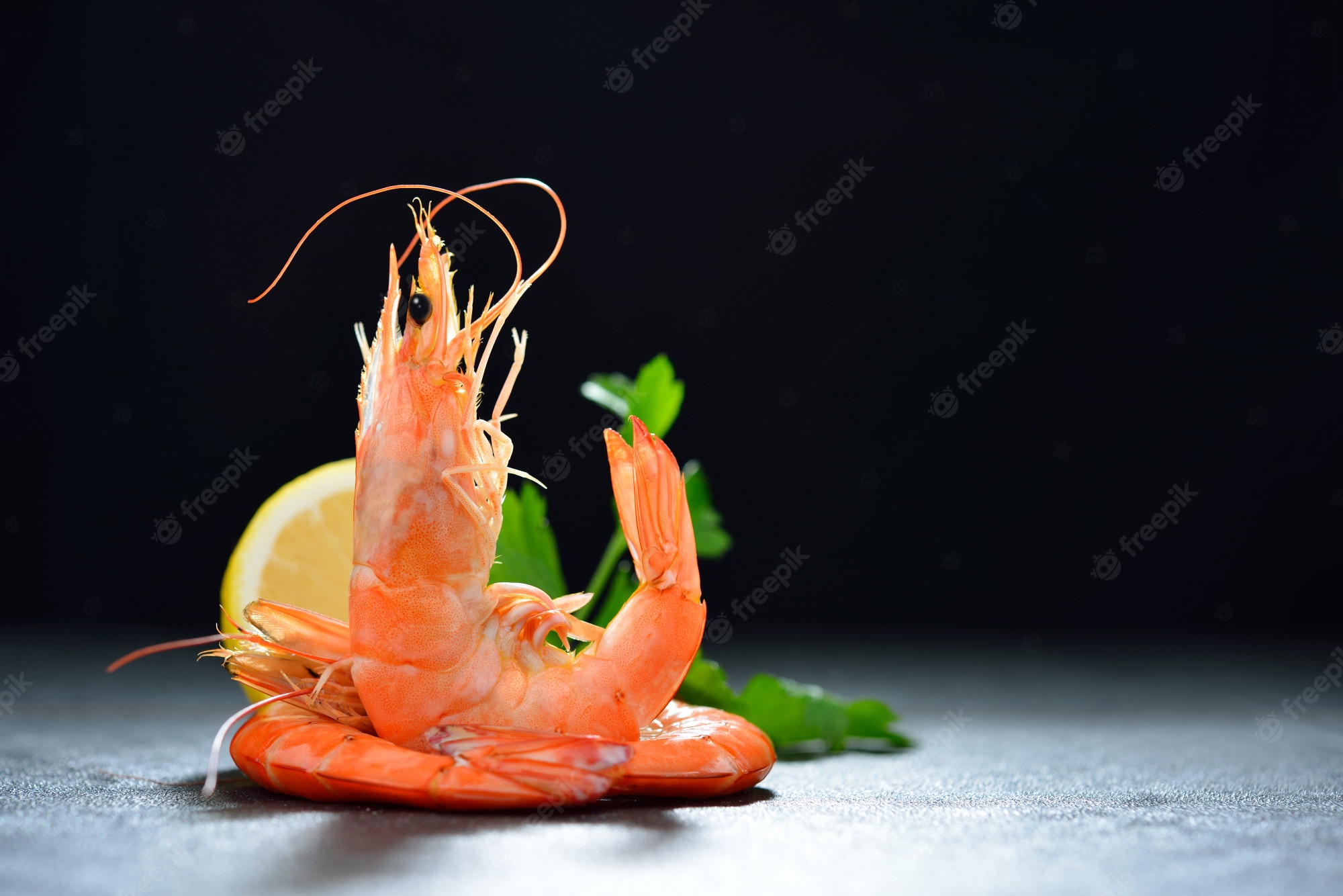 Shrimp Wallpapers