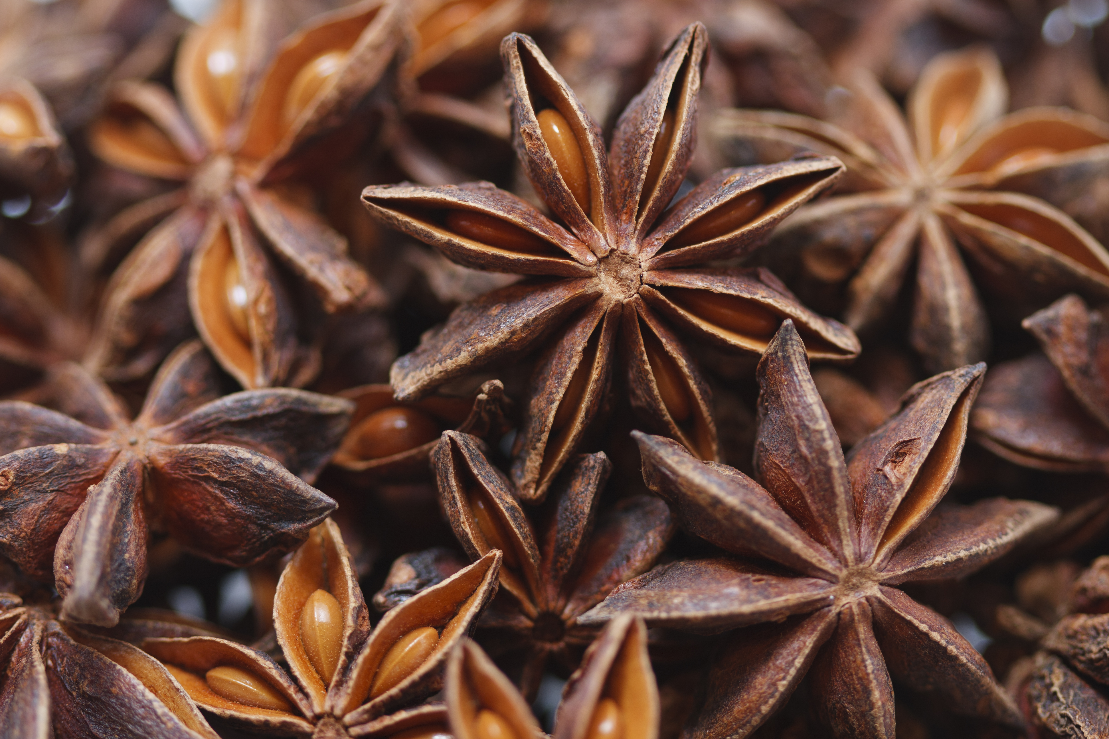 Star Anise Wallpapers