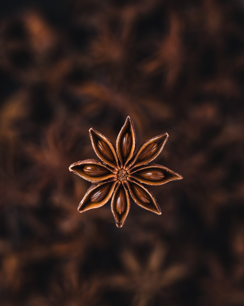 Star Anise Wallpapers