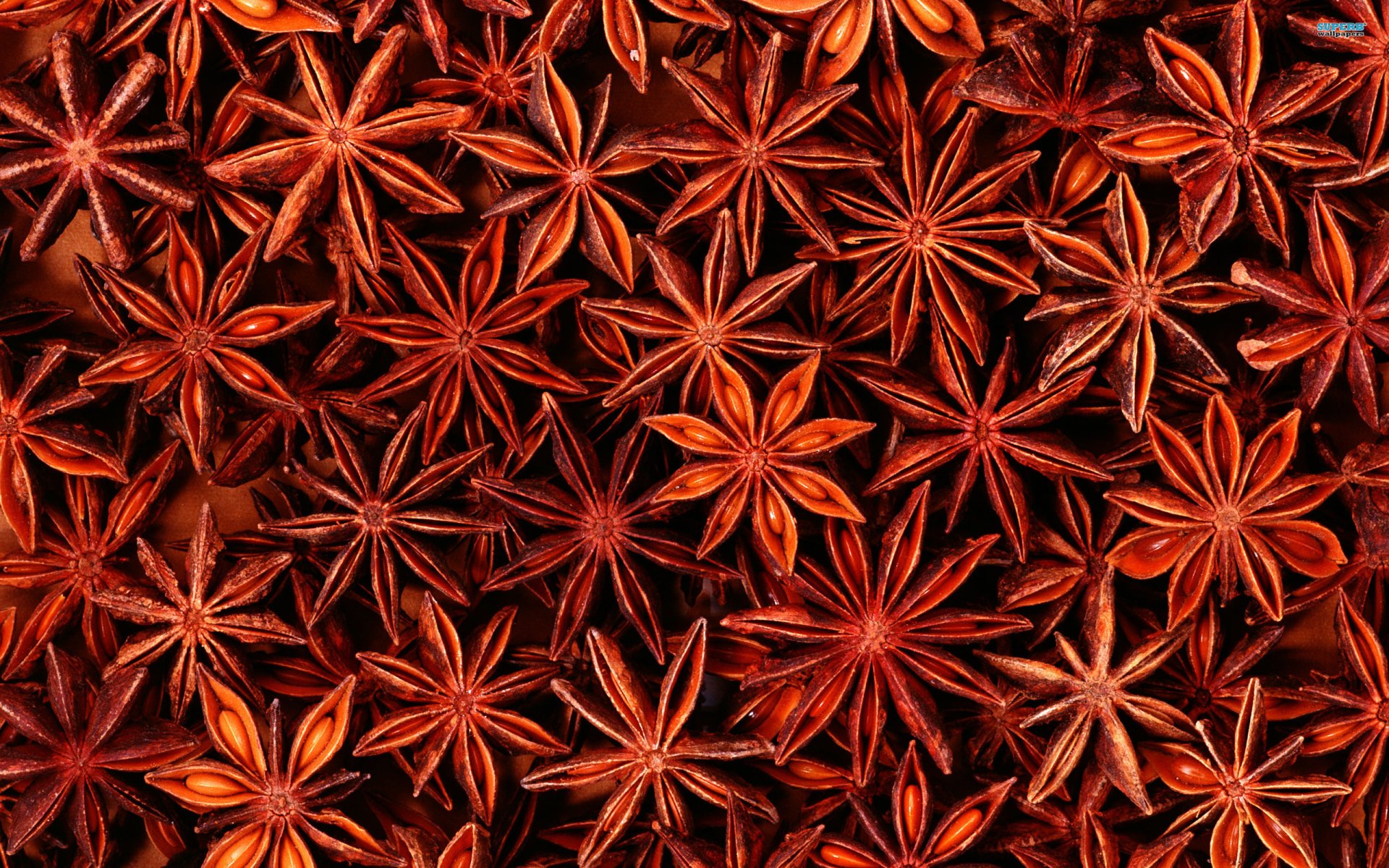 Star Anise Wallpapers