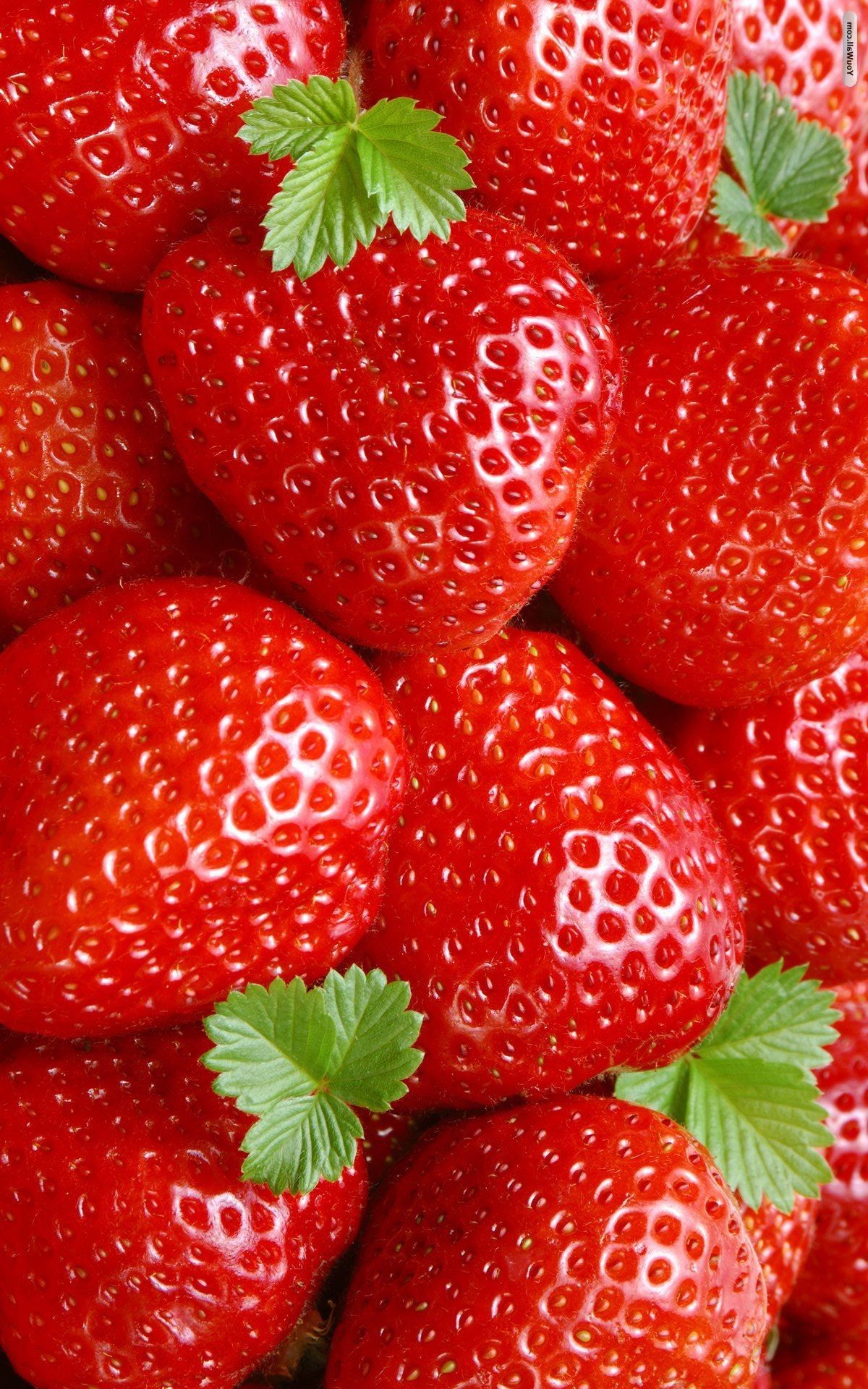 Strawberry Wallpapers