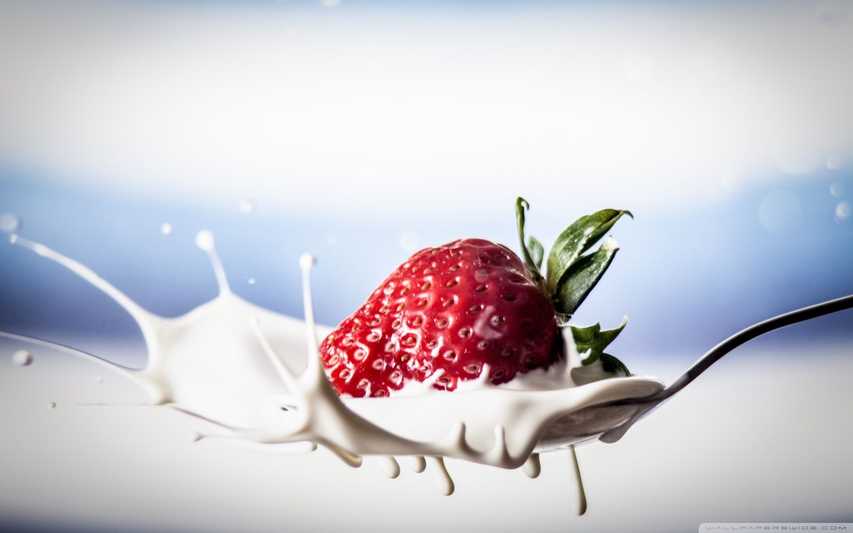 Yogurt Wallpapers