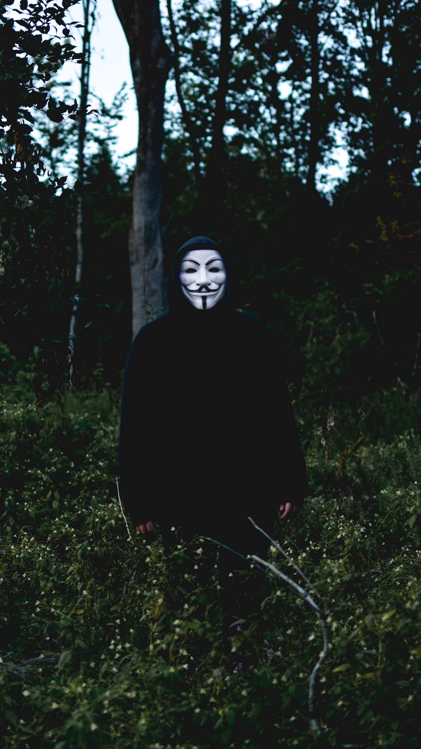 Anonymous Mask Man Wallpapers