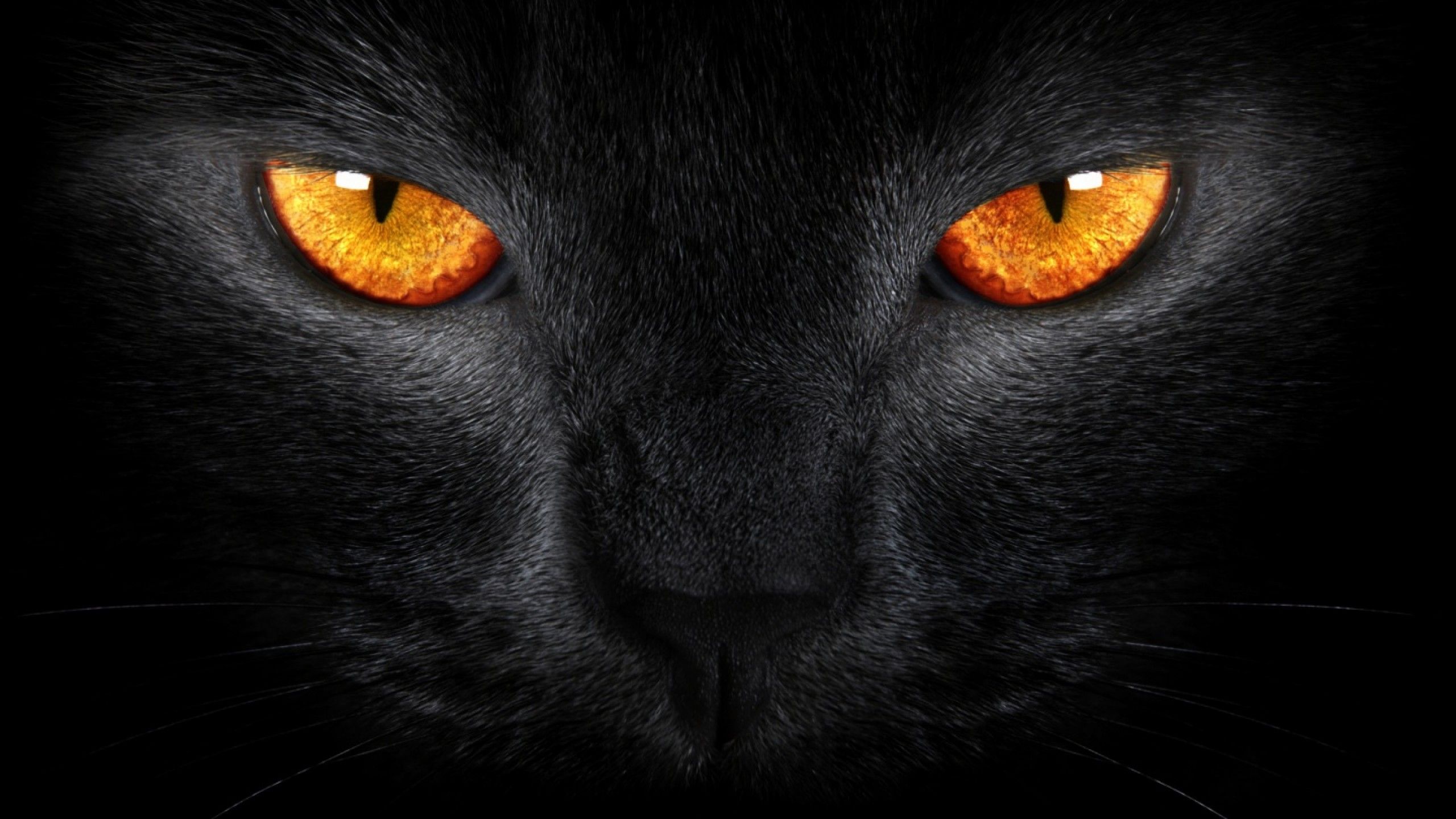 Anonymous With Orange Eyes Wallpapers