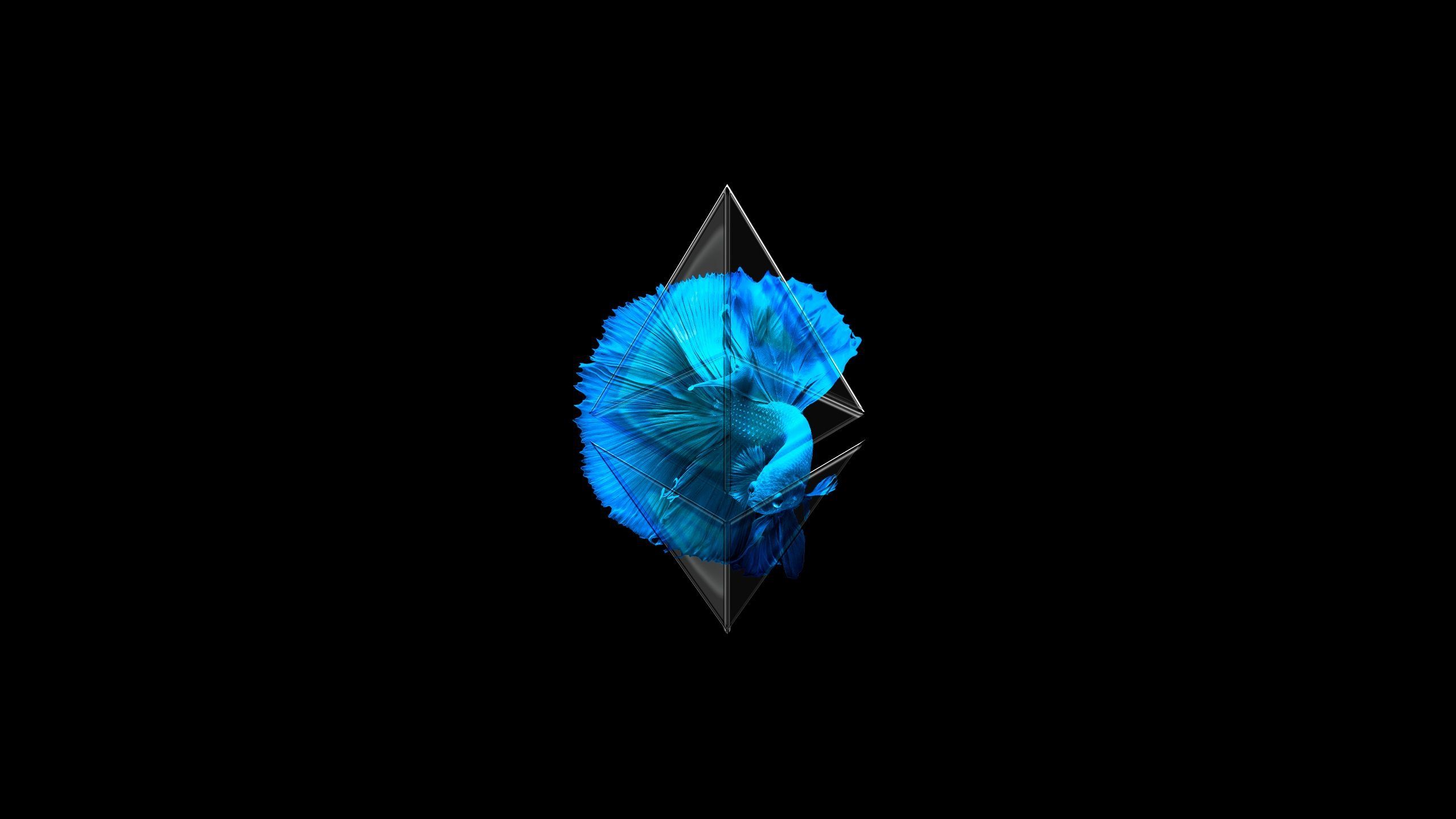 Ethereum Wallpapers