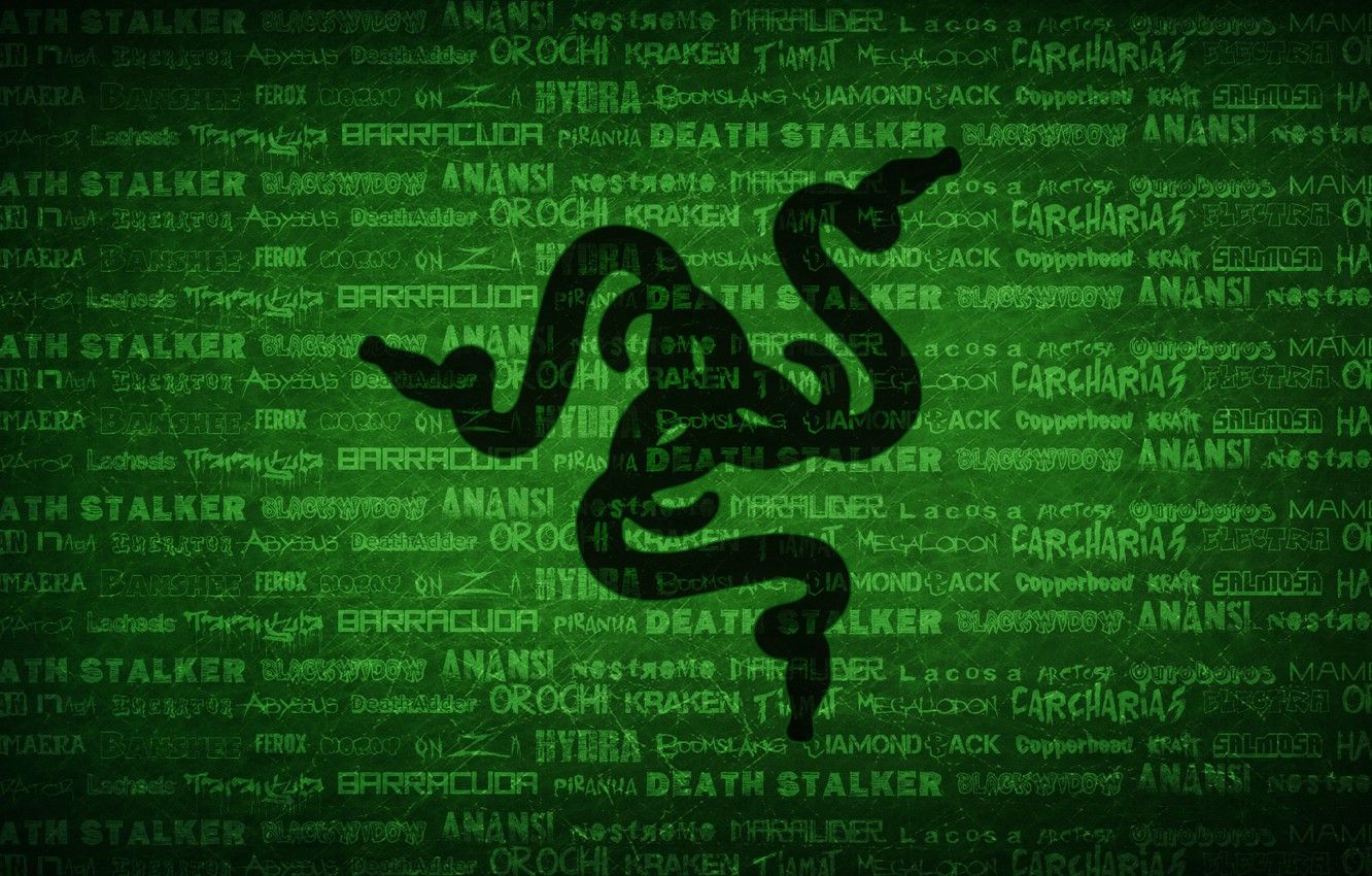 Green Python Hd Razer Wallpapers