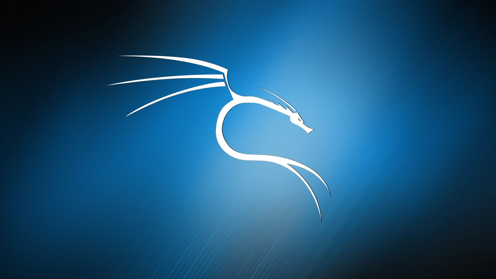 Kali Linux Matrix Wallpapers