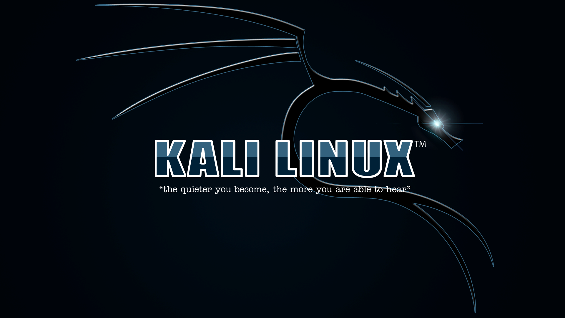 Kali Linux Matrix Wallpapers