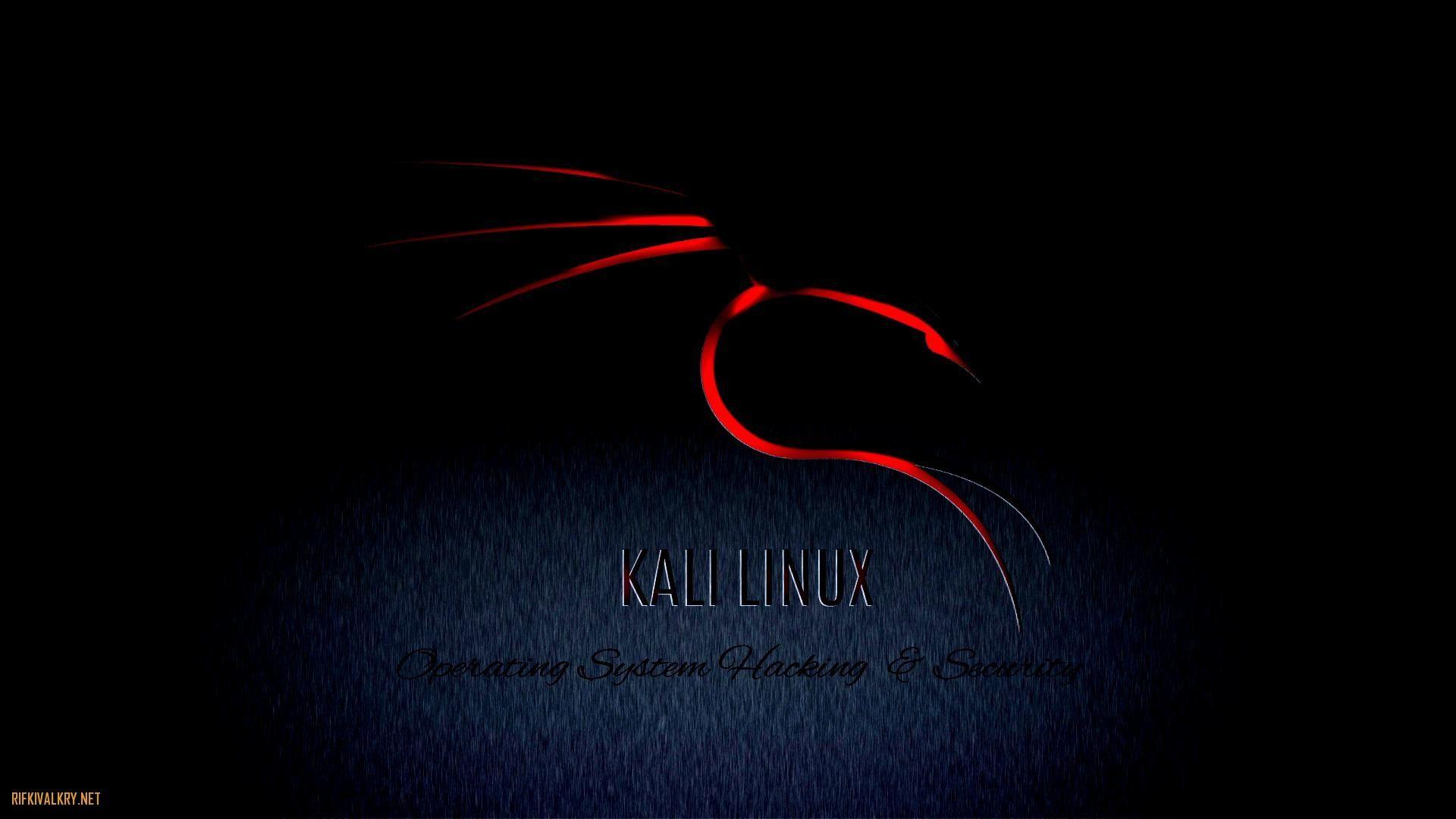 Kali Linux Matrix Wallpapers