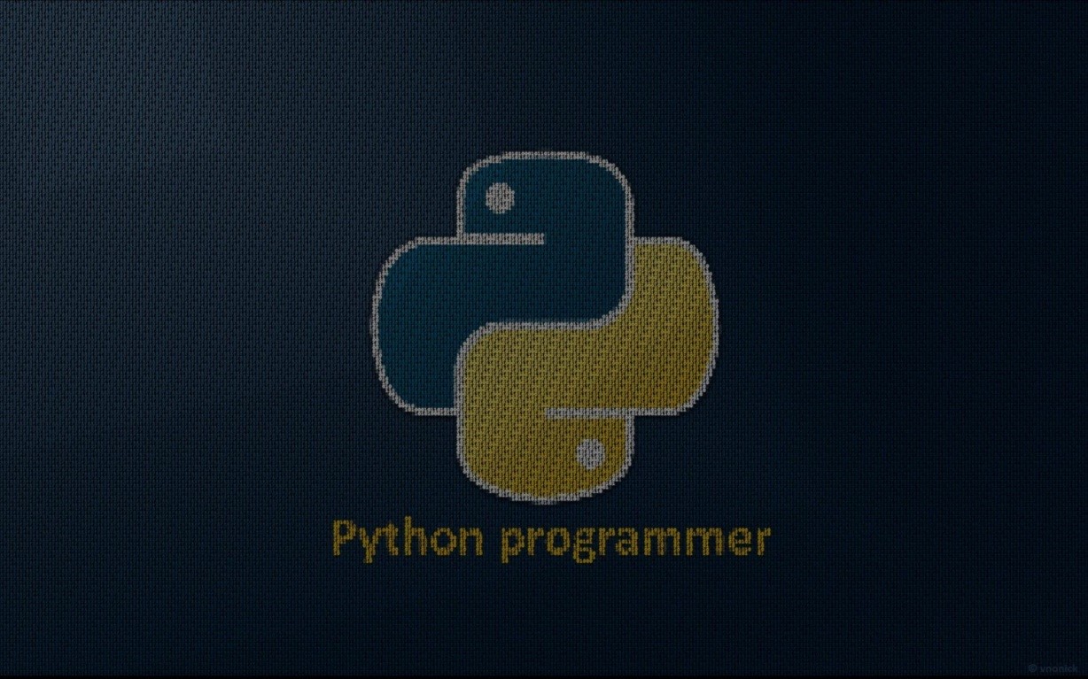 Python Programmer Wallpapers