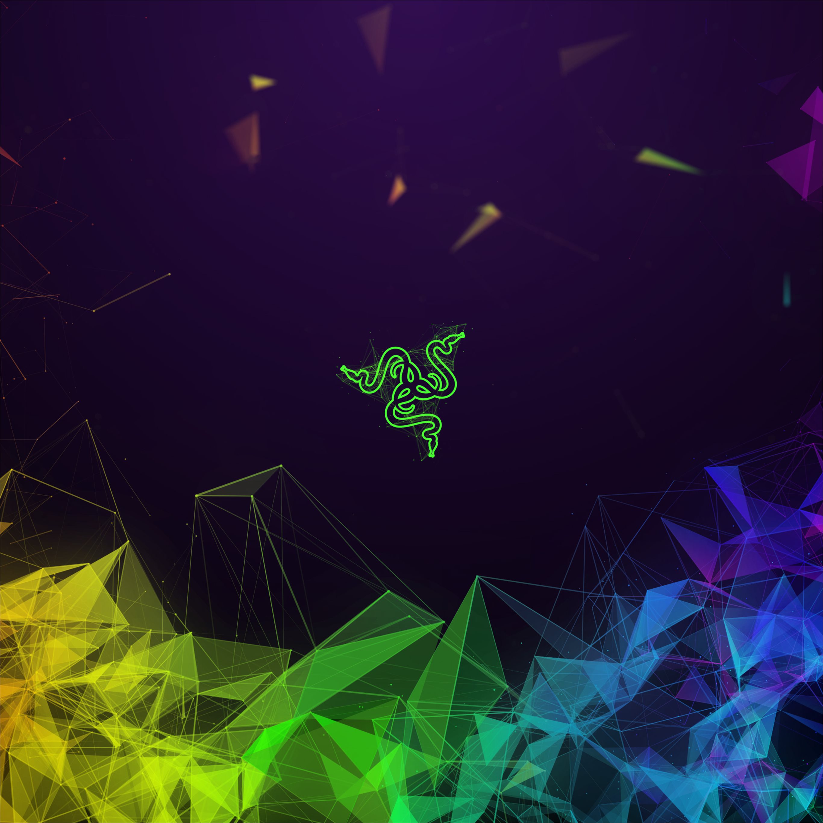 Razer 4K Logo Art Wallpapers