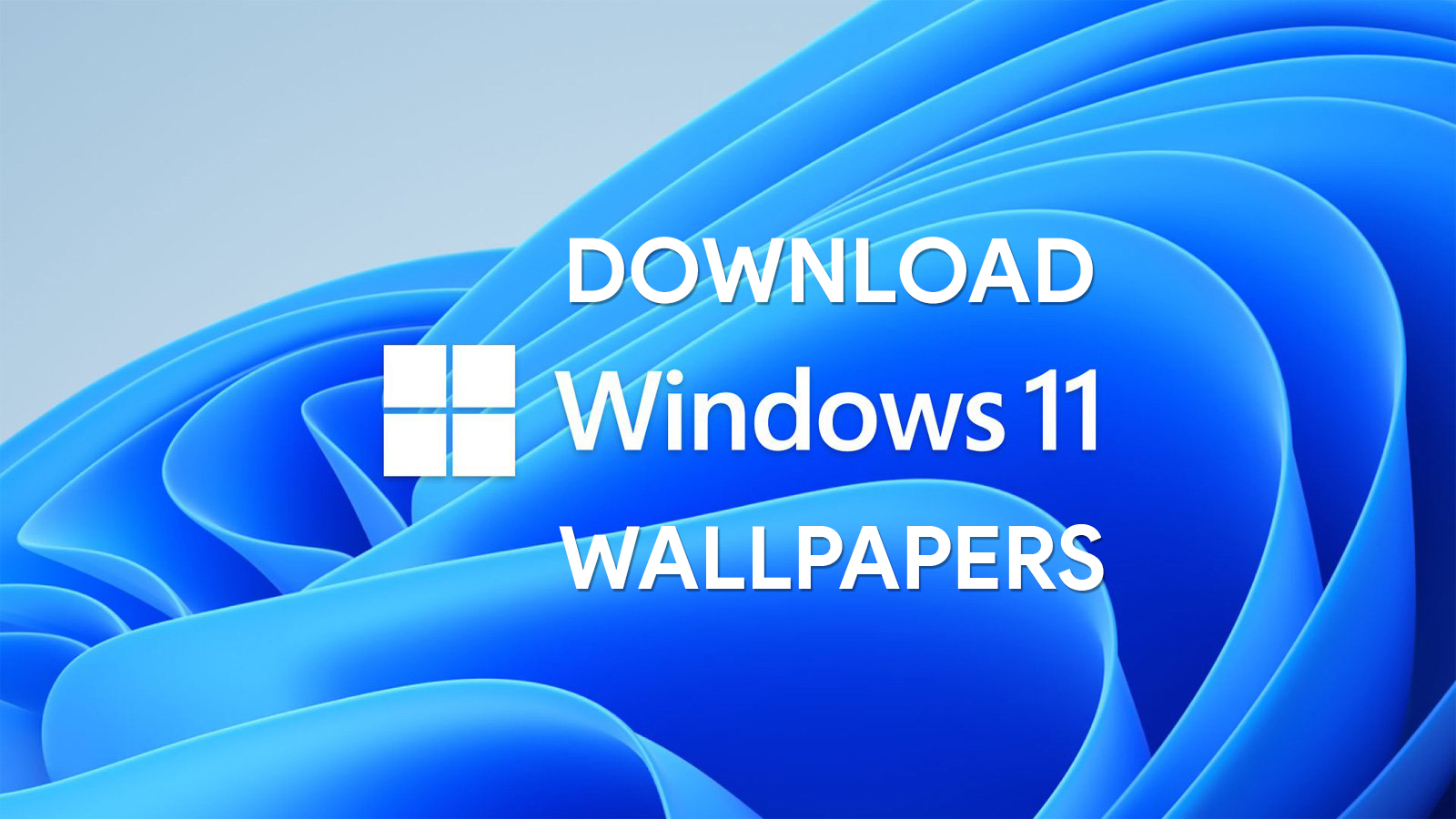 Windows 11 Wallpapers