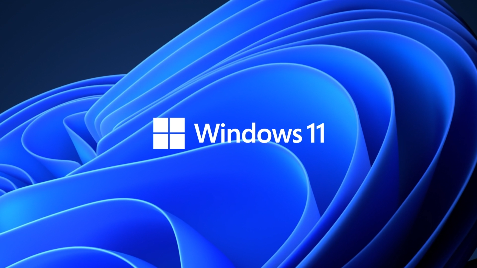 Windows 11 4K Logo Wallpapers