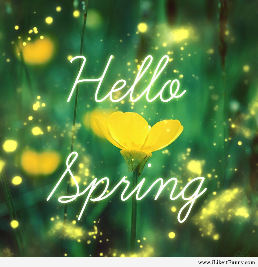 Tumblr Hello Spring Background