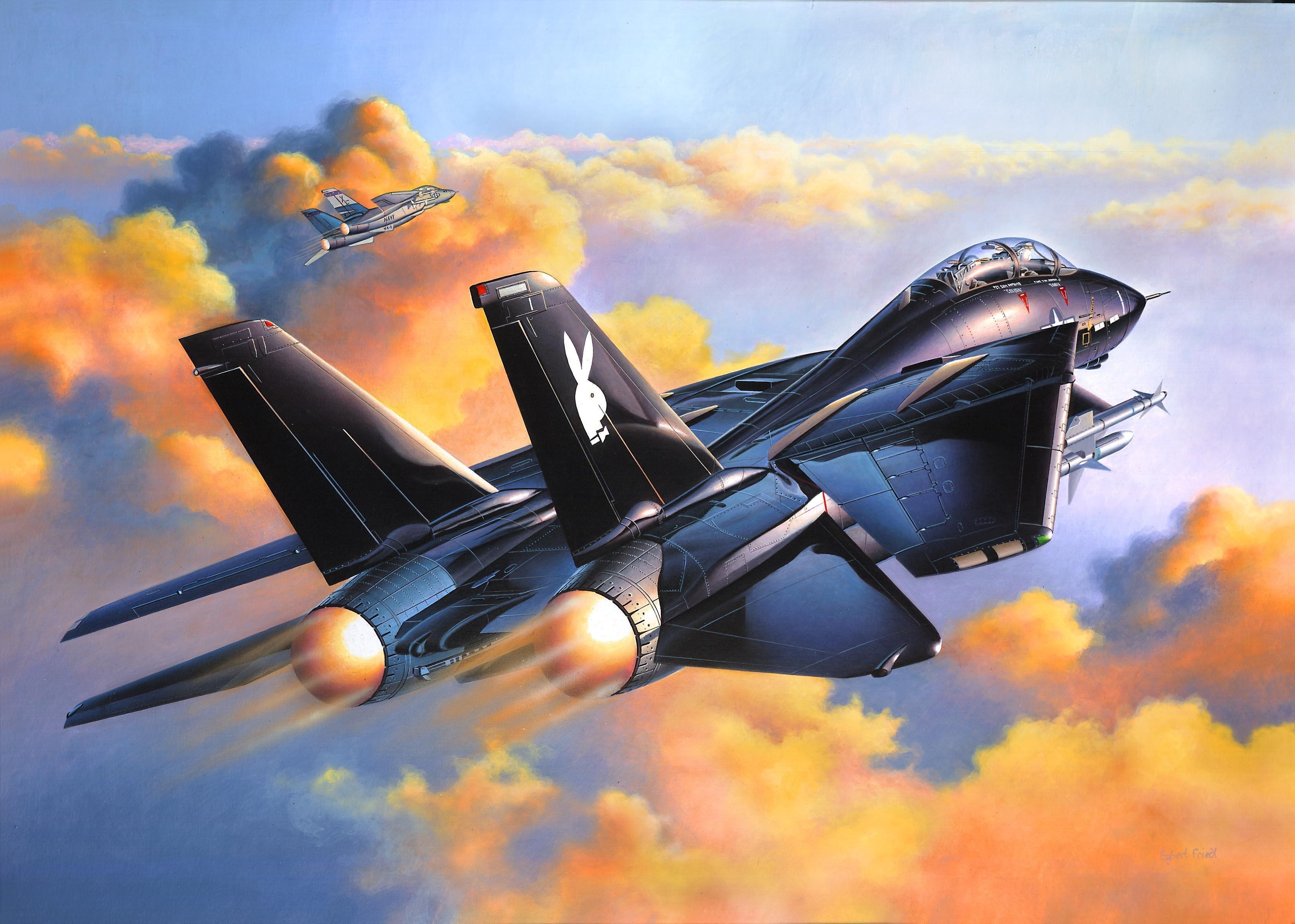 Grumman F-14 Tomcat Wallpapers